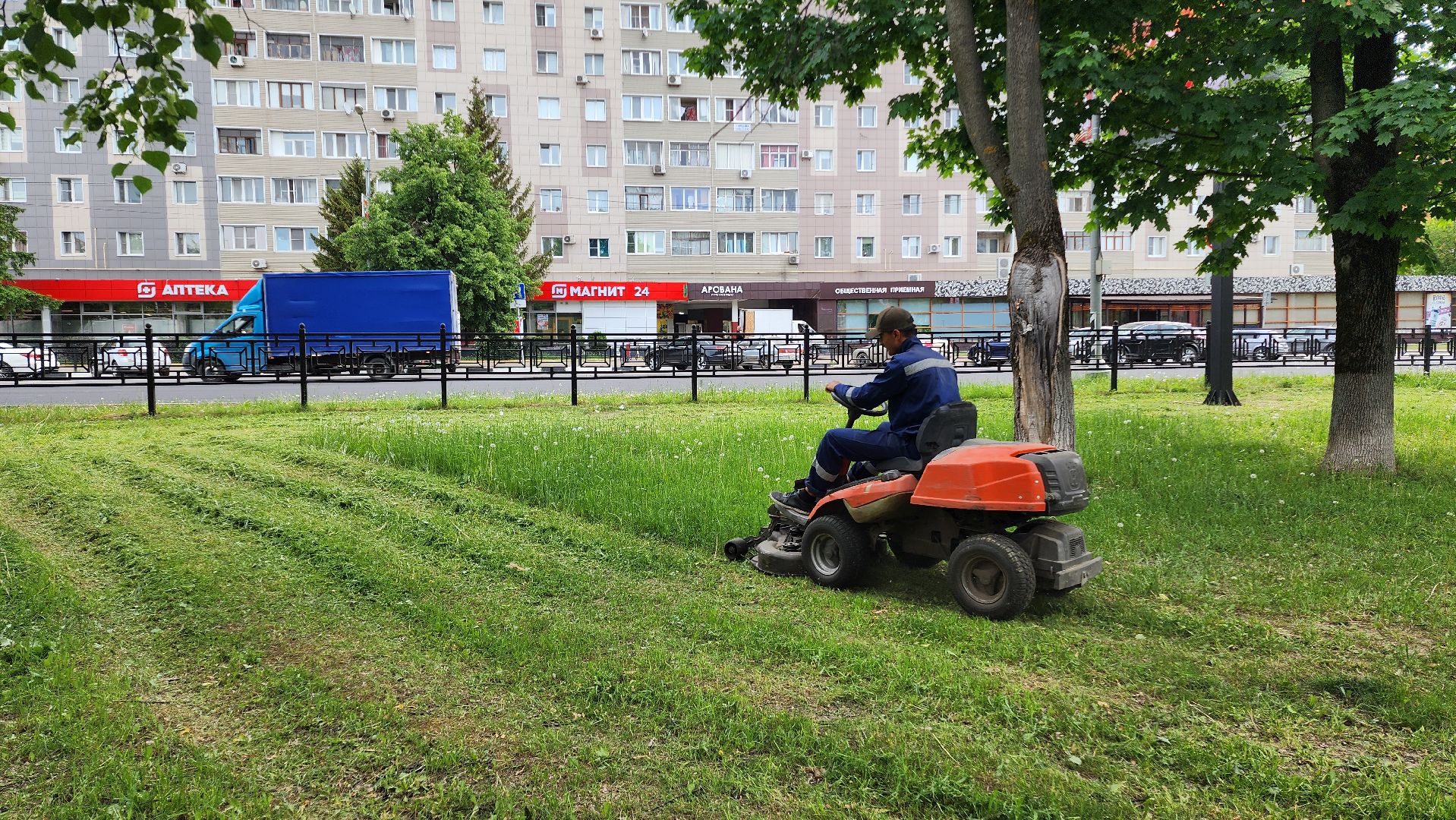 домодедово, подмосковье, жкх, покос территории, покос травы,
