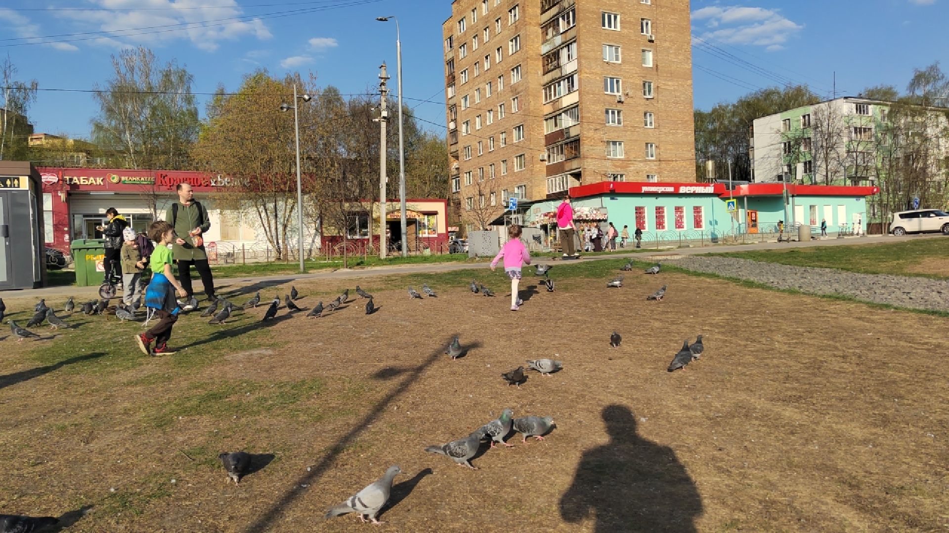 Пушкино, спорт, благотворительность, помощь, плавание, зимнее плавание,