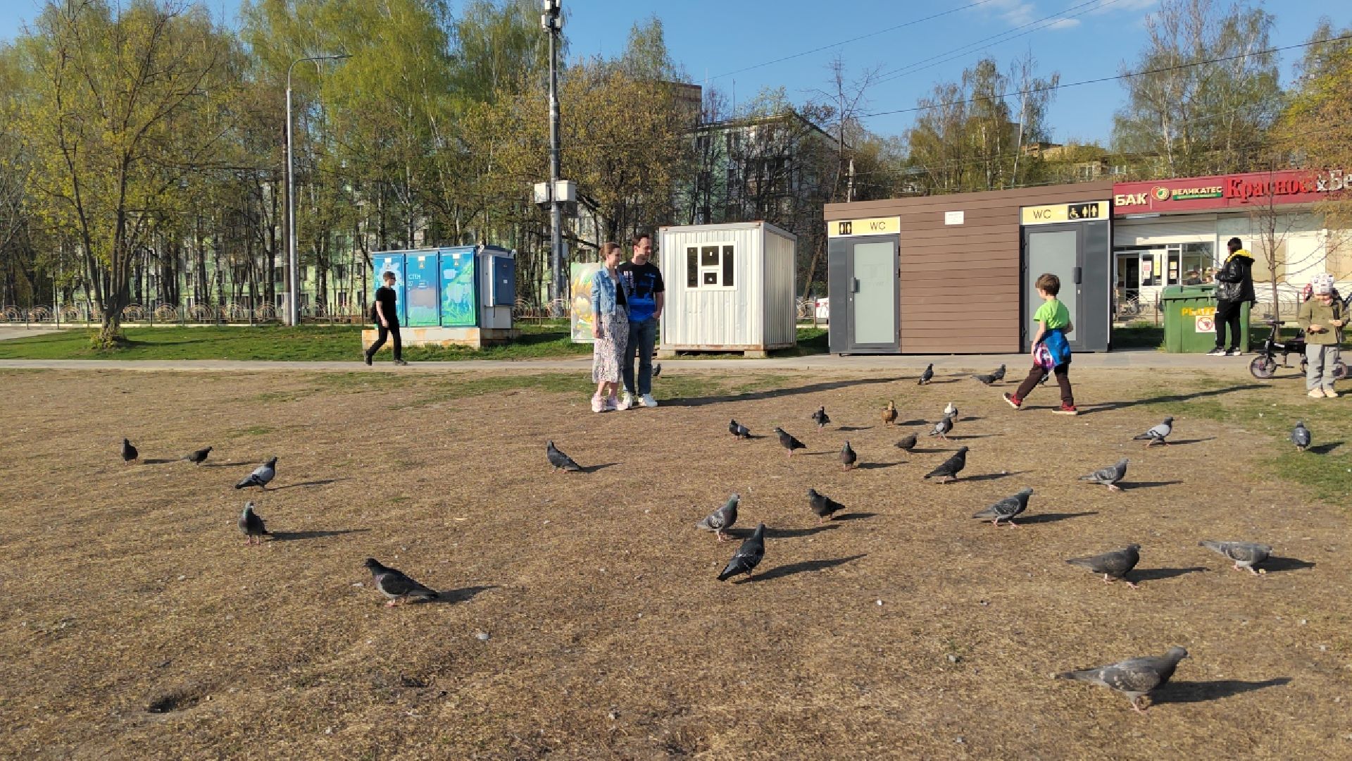 Пушкино, спорт, благотворительность, помощь, плавание, зимнее плавание,