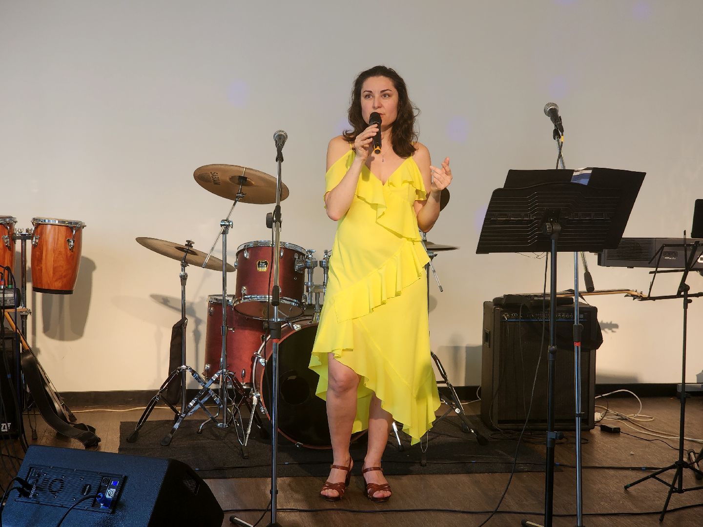 дубна, блохинка, фестиваль, концерт, прикладная акустика,