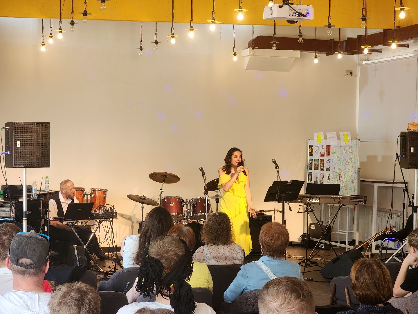 дубна, блохинка, фестиваль, концерт, прикладная акустика,