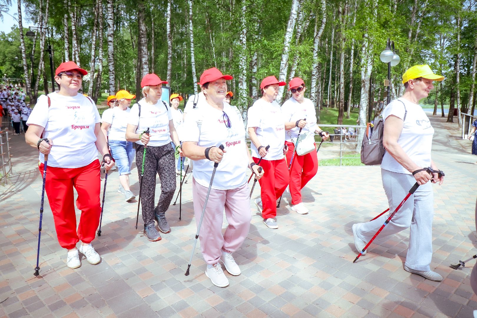 клин, общество, активное долголетие, скандинавская ходьба,