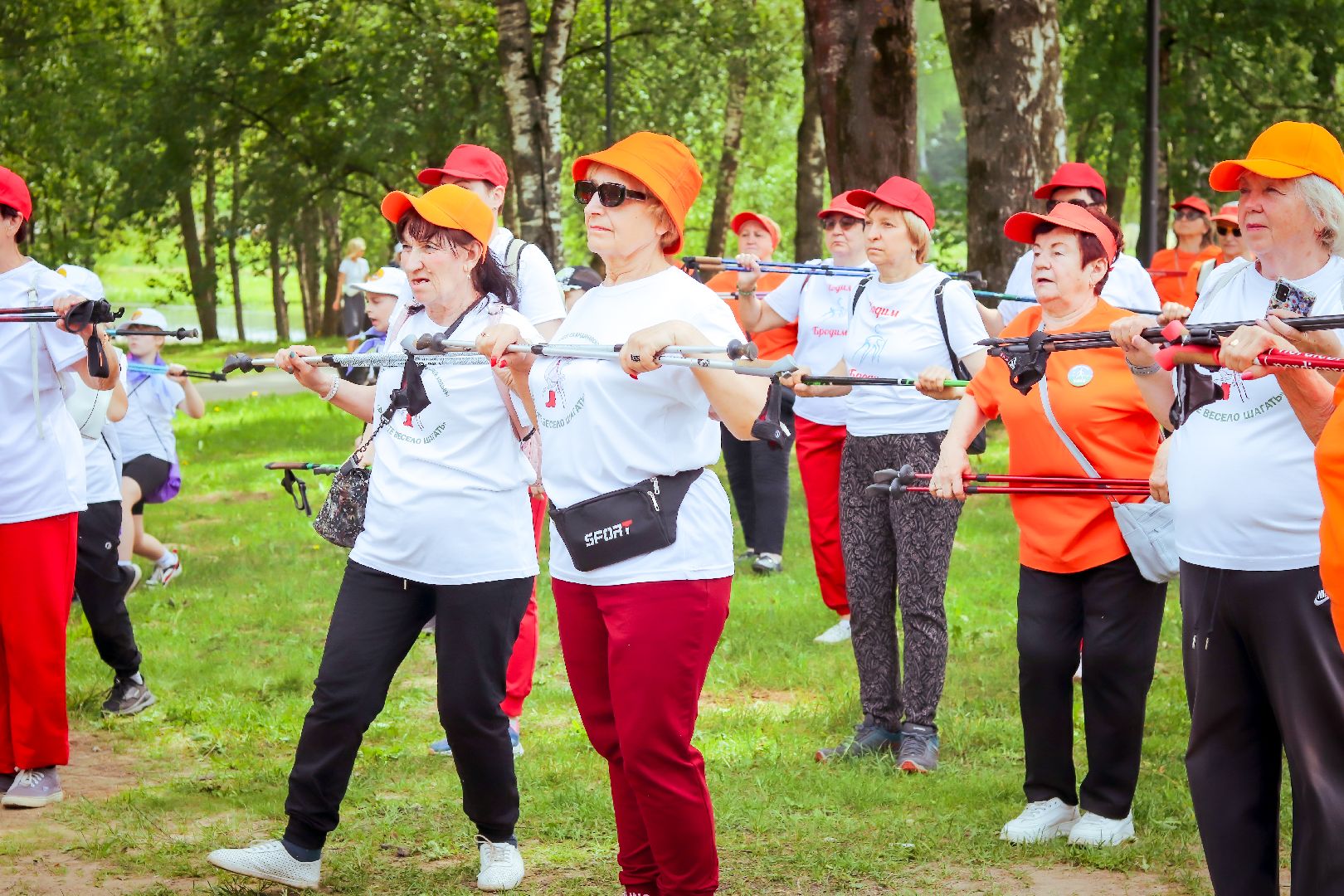 клин, общество, активное долголетие, скандинавская ходьба,