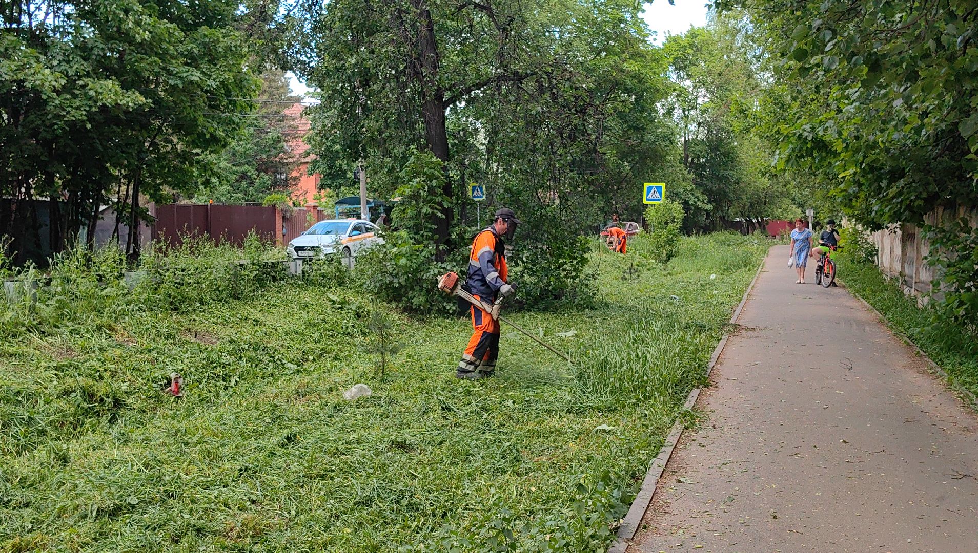 газон, трава, благоустройство, ветки, кронирование,