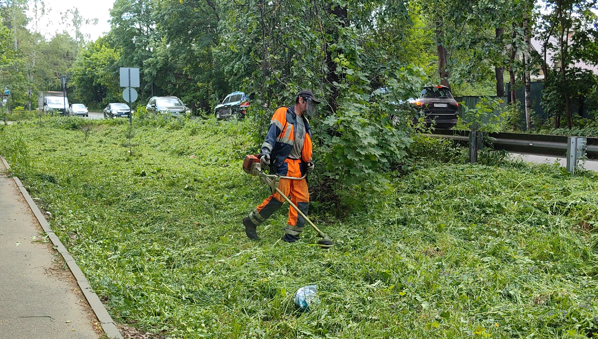 газон, трава, благоустройство, ветки, кронирование,