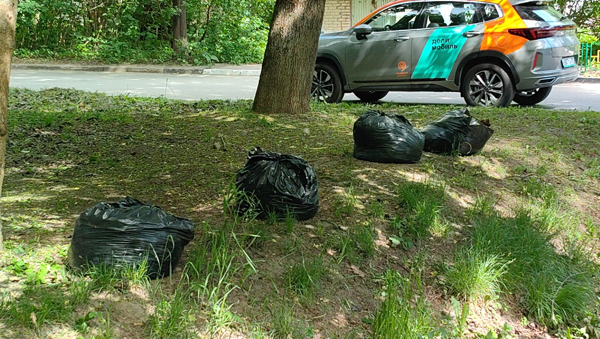 газон, трава, благоустройство, ветки, кронирование,