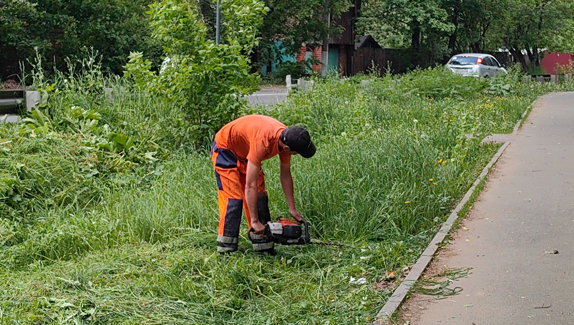 газон, трава, благоустройство, ветки, кронирование,