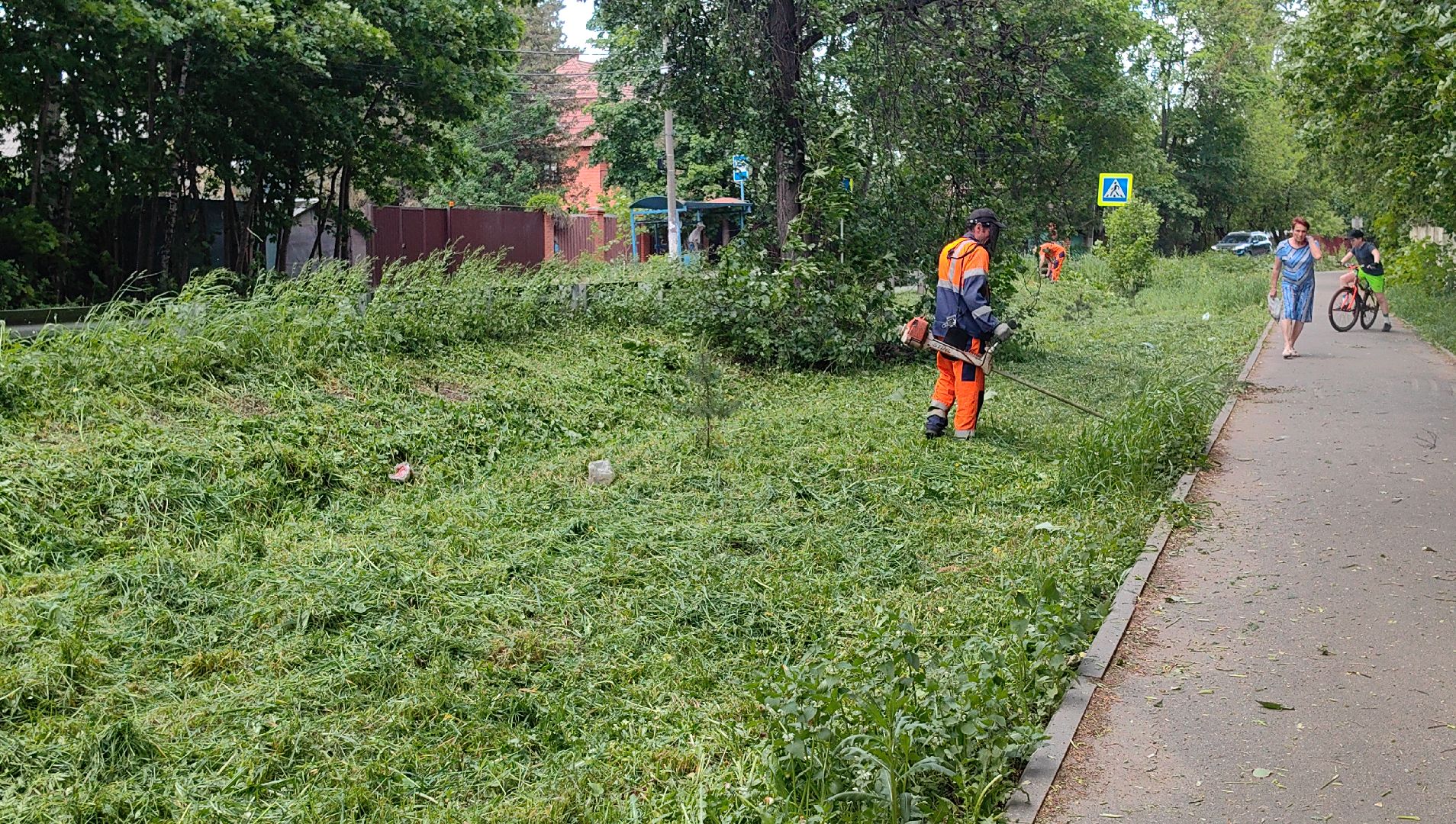 газон, трава, благоустройство, ветки, кронирование,