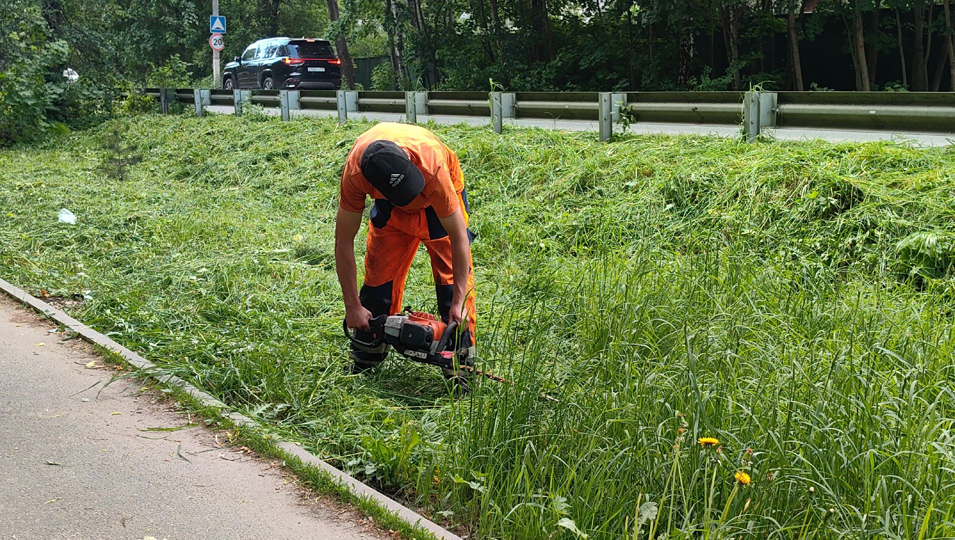 газон, трава, благоустройство, ветки, кронирование,