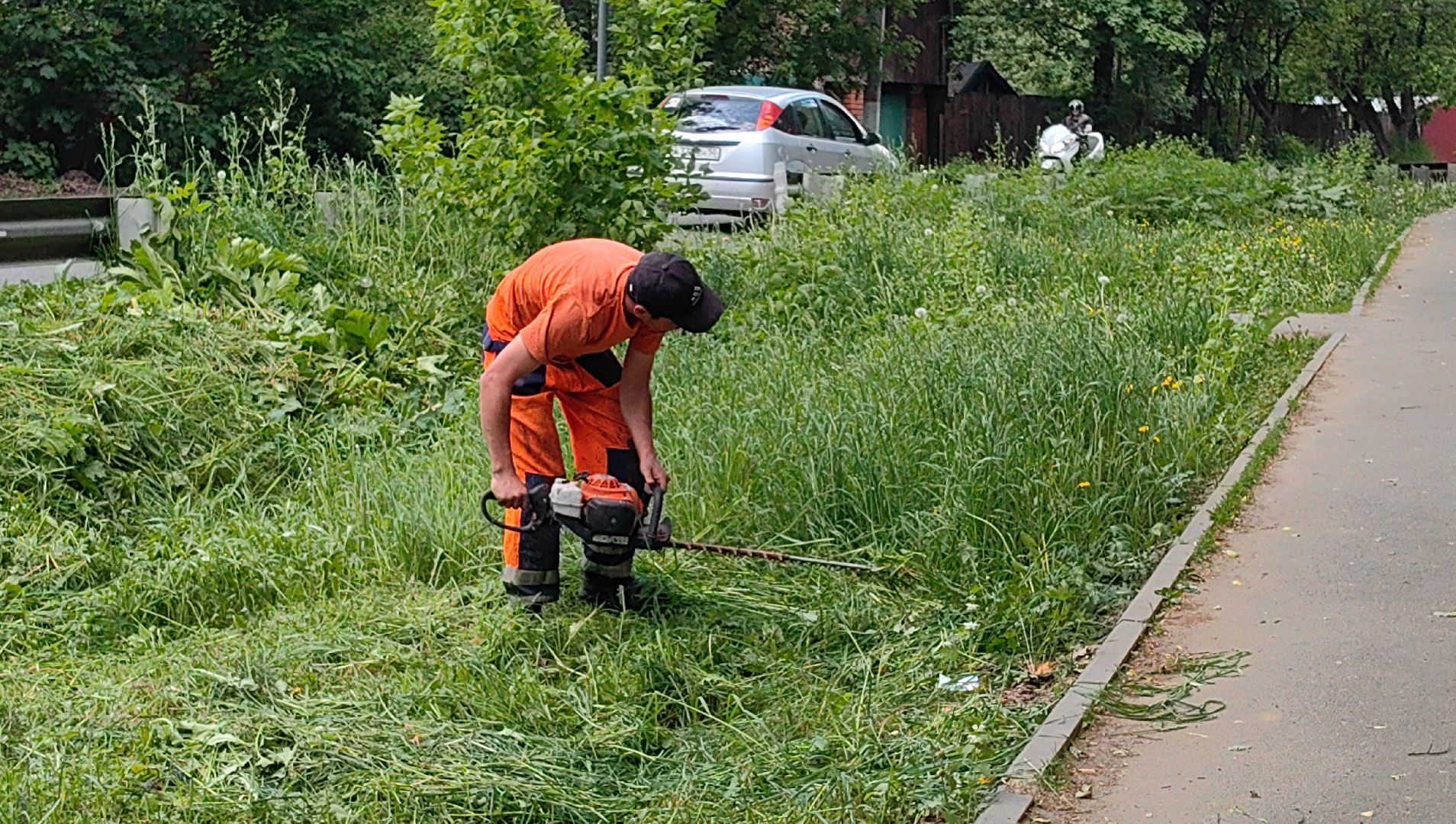 газон, трава, благоустройство, ветки, кронирование,