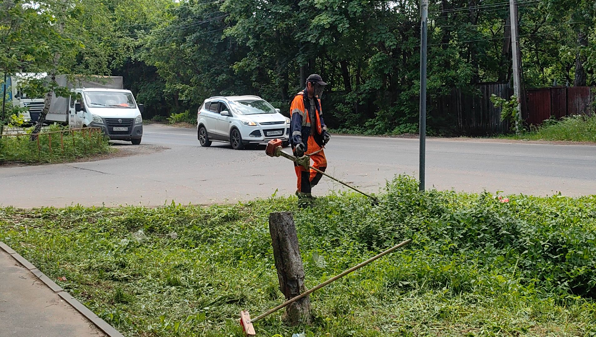 газон, трава, благоустройство, ветки, кронирование,