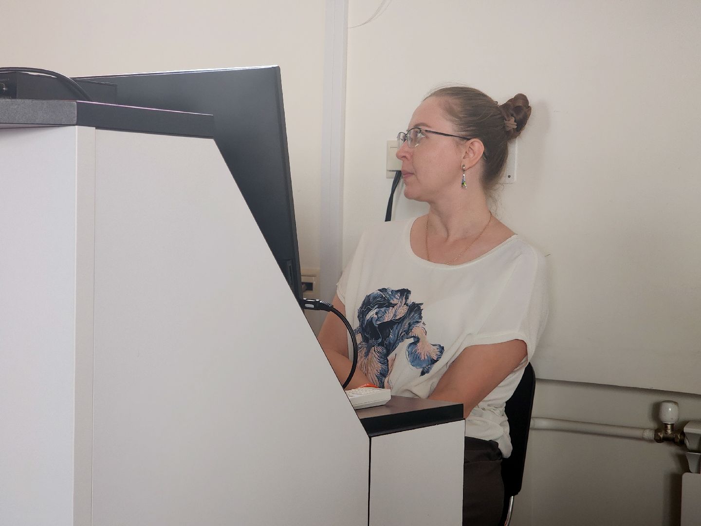 дубна, блохинка, лекция, волонтеры, том сойер фест,