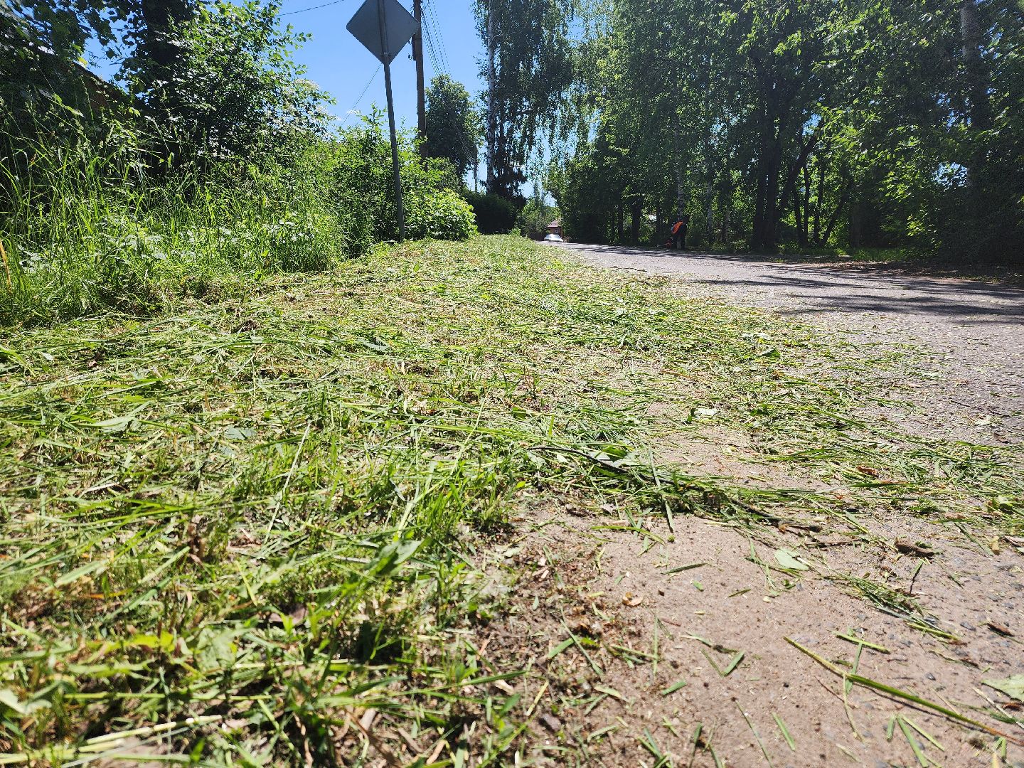 Зарайск, Благоустройство, Чистый город, Покос травы,