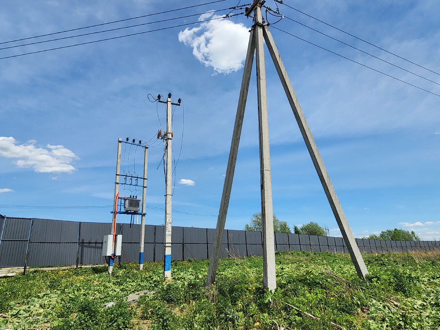 красноармейск, городской округ пушкинский, агропромышленный комплекс, правильное питание, экономика,