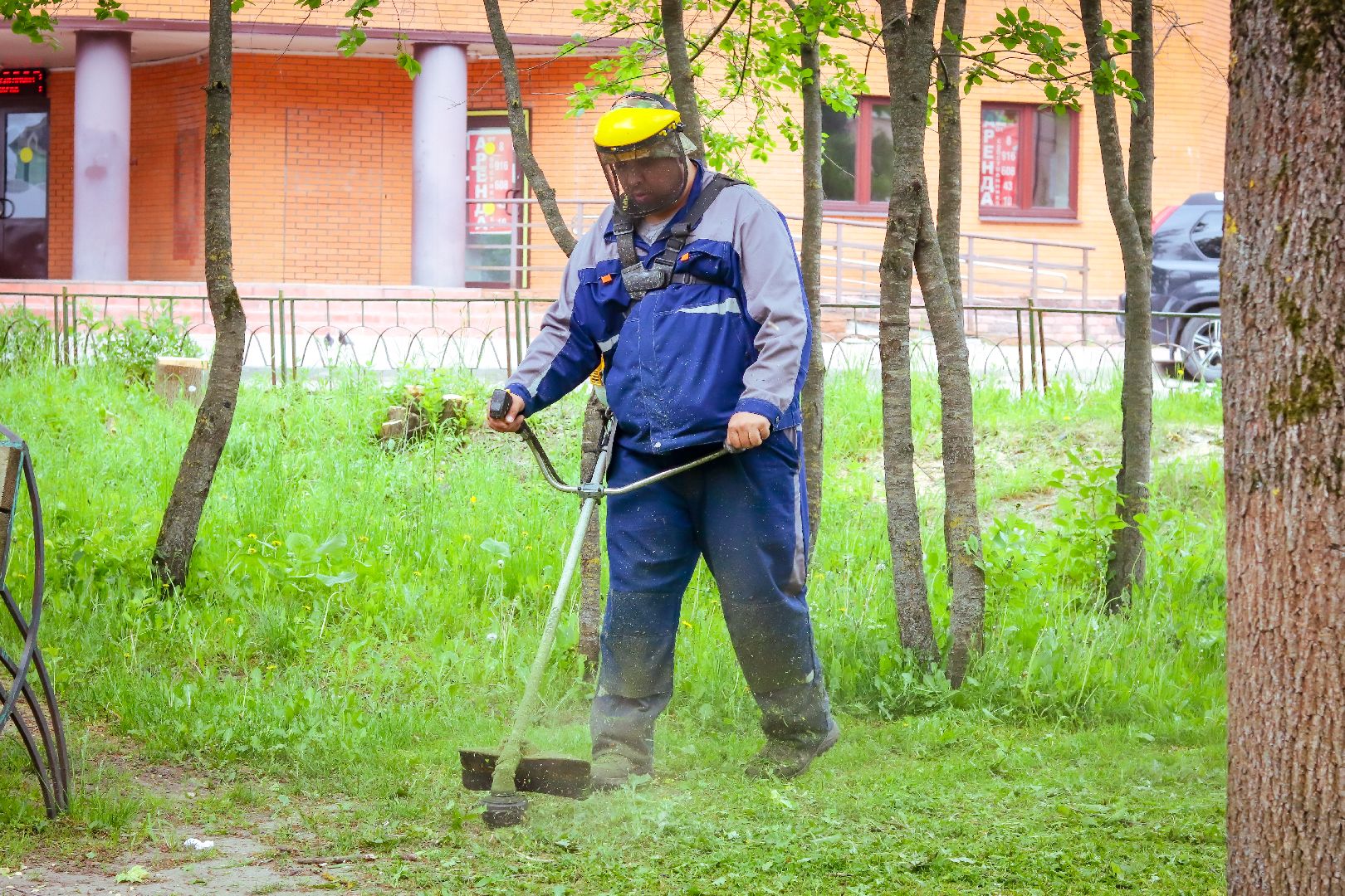 клин, жкх, благоустройство, покос травы,