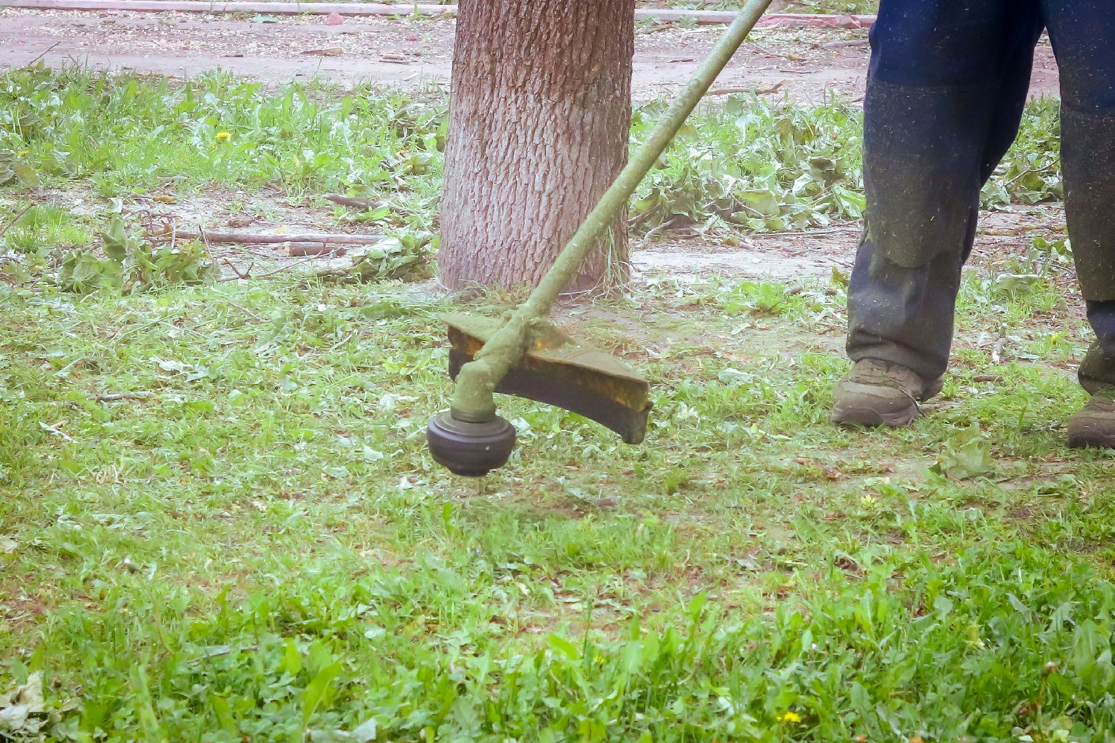 клин, жкх, благоустройство, покос травы,