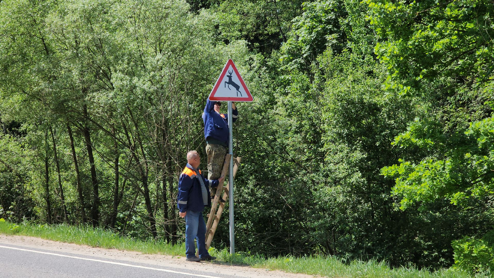 Руза, Руад, дорожная безопасность,