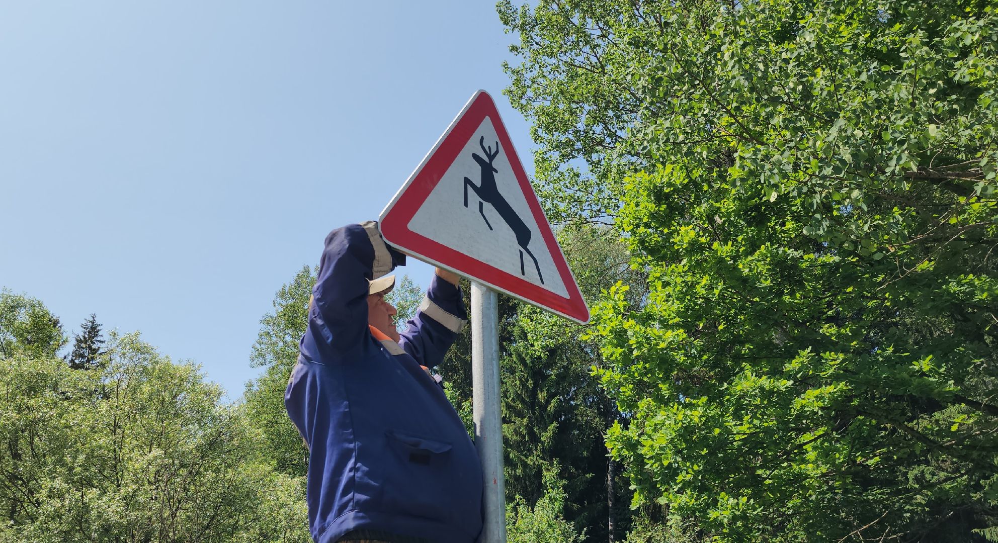 Руза, Руад, дорожная безопасность,