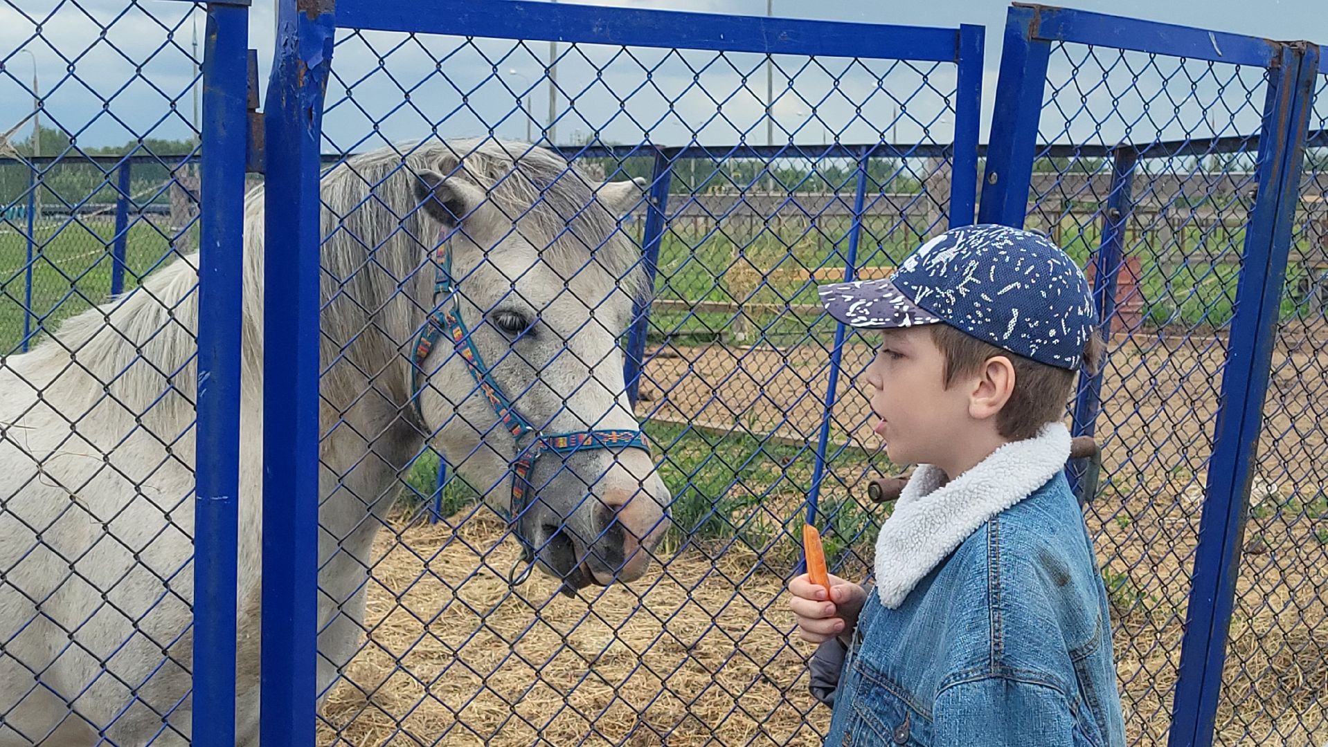 Луховицы #ДеньЗащитыДетей #ДетскийПраздник #ЛучикДобра #МероприятияПодмосковья,