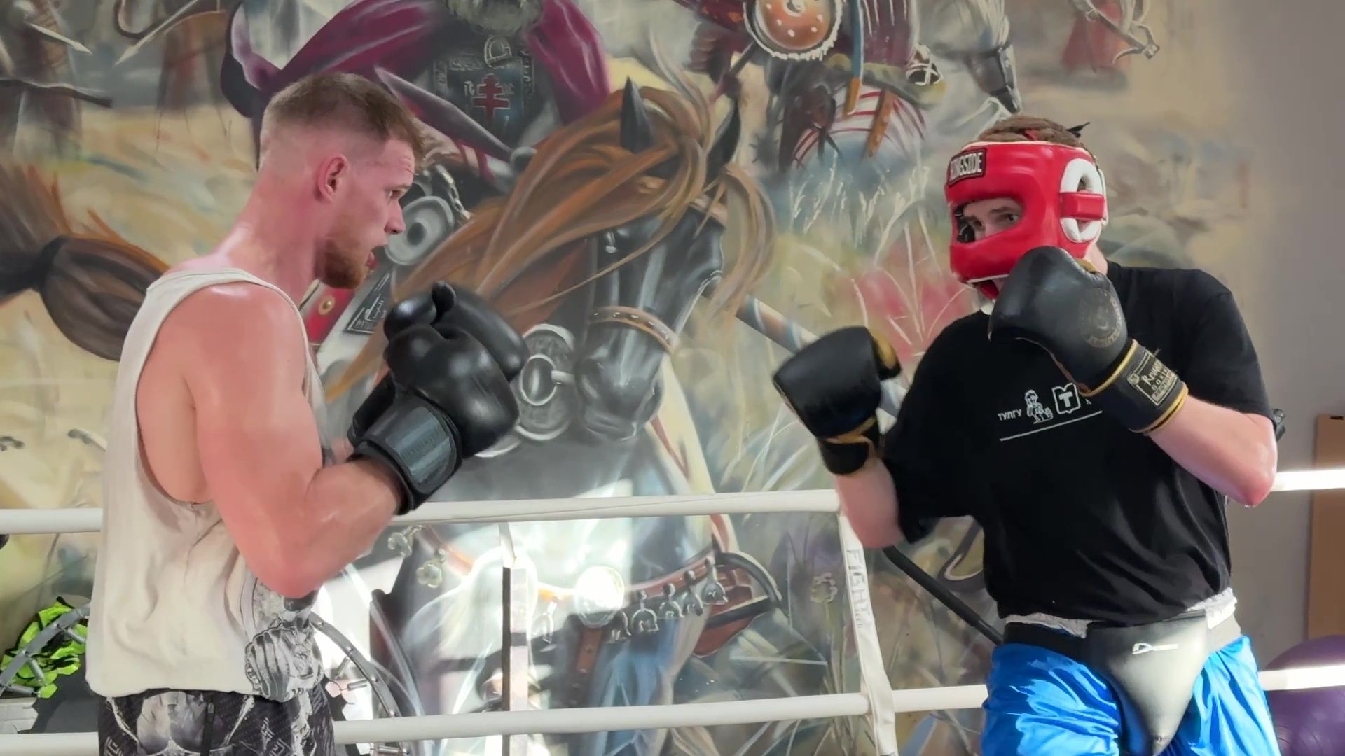 реутов, спорт, Пересвет, кикбоксинг, соревнования,