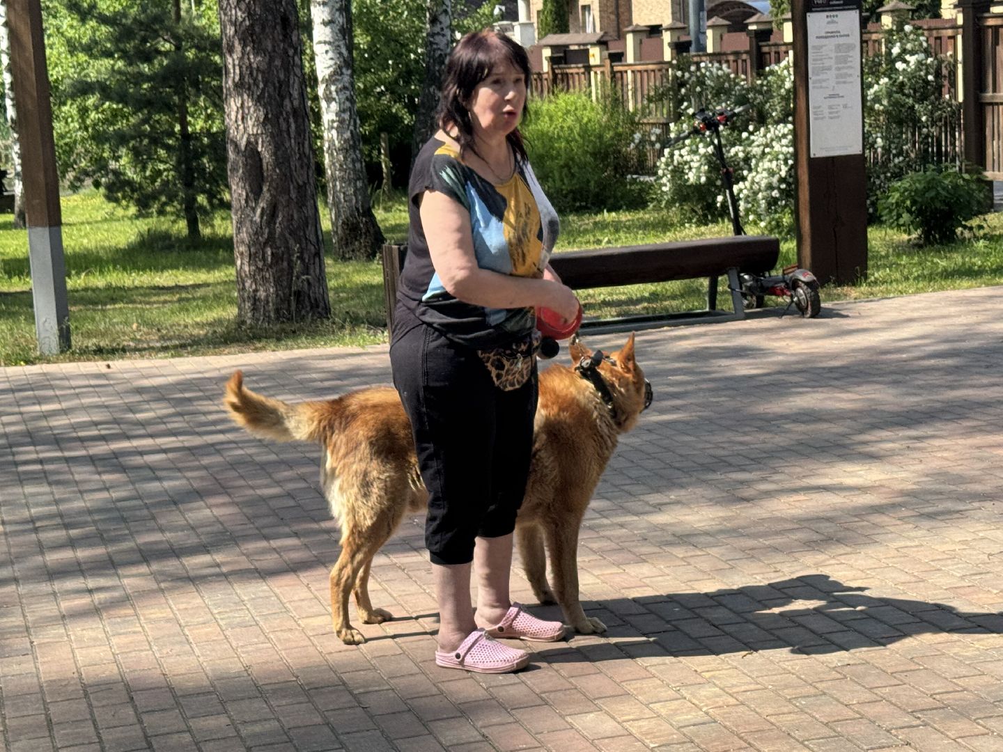 вакцинация от бешенства, балашиха, парк никольско-архангельский,