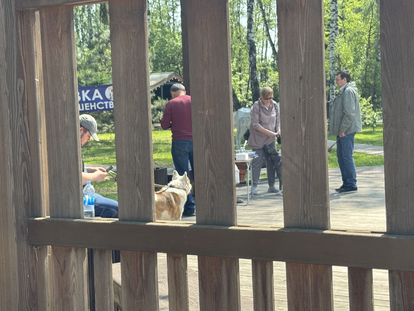 вакцинация от бешенства, балашиха, парк никольско-архангельский,