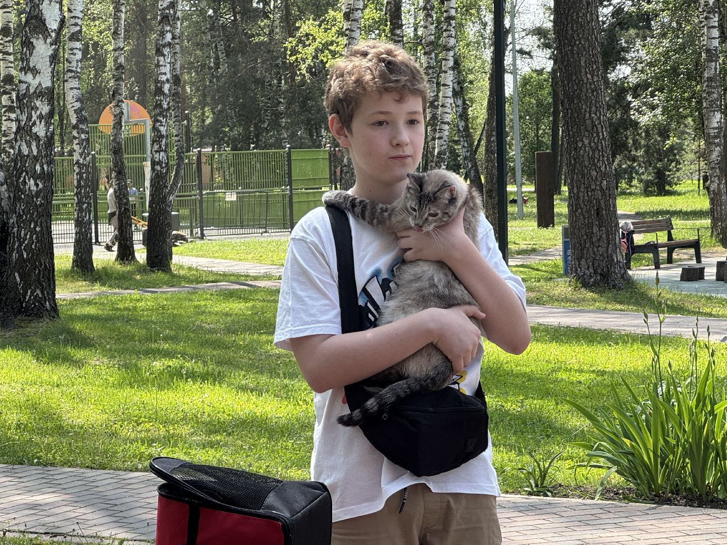 вакцинация от бешенства, балашиха, парк никольско-архангельский,