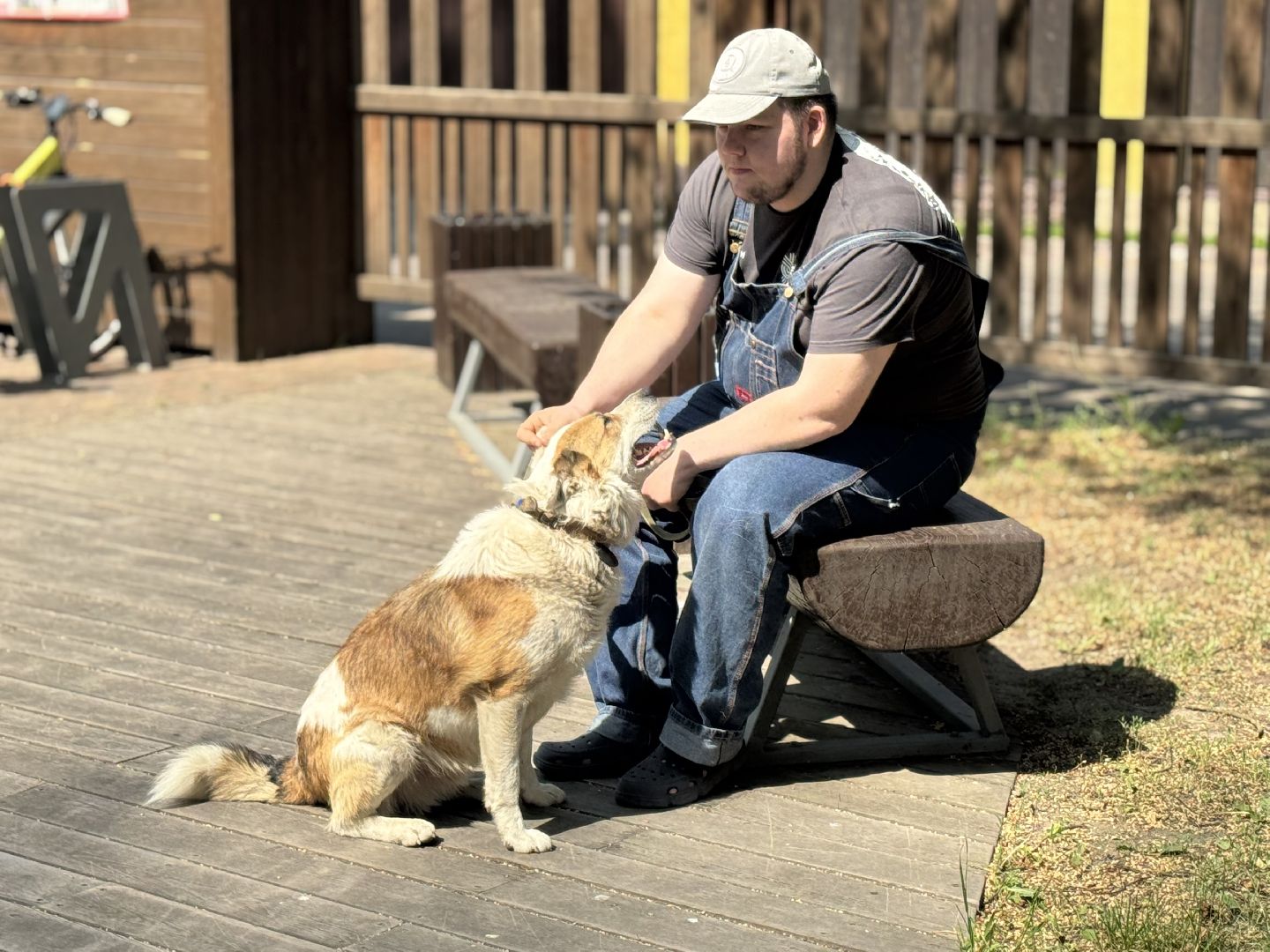 вакцинация от бешенства, балашиха, парк никольско-архангельский,