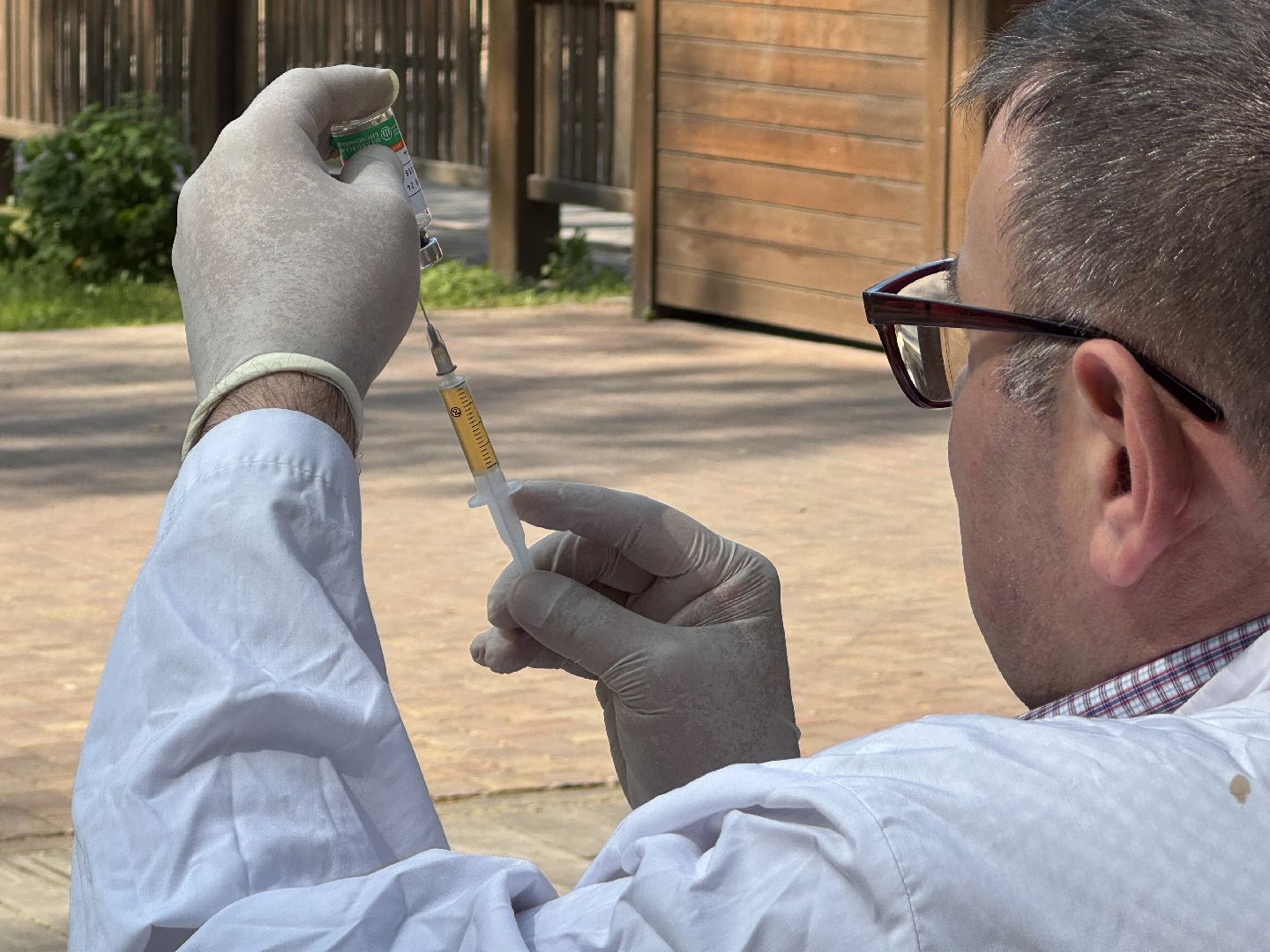 вакцинация от бешенства, балашиха, парк никольско-архангельский,