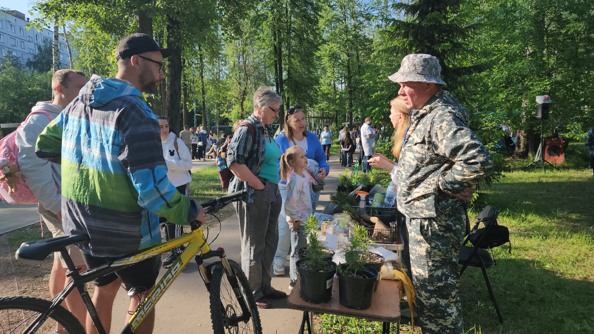 пушкино, пристройство, бездомные животные, кошки, собаки, центральный парк, приют для собак, волонтерская деятельность,