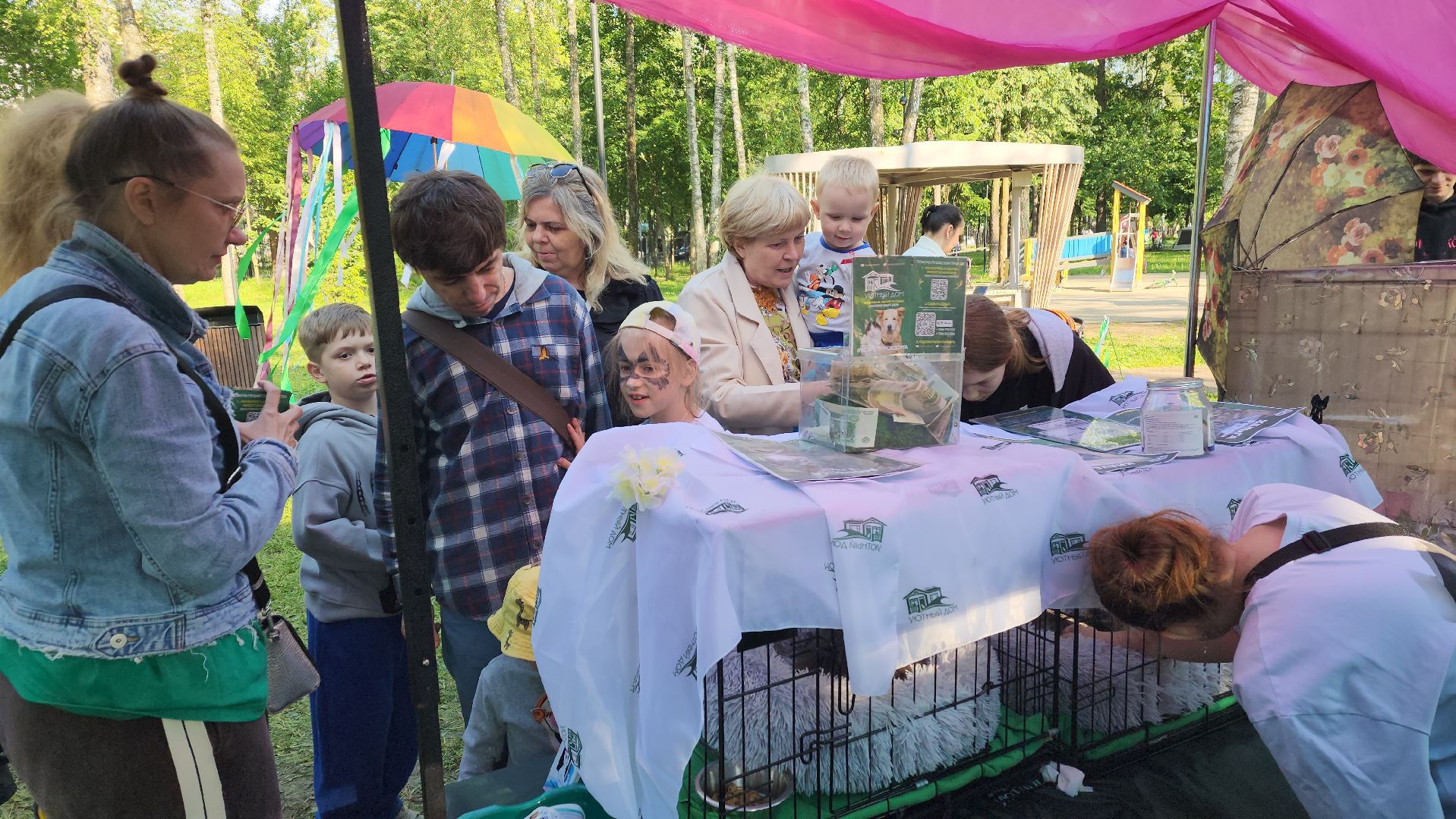 пушкино, пристройство, бездомные животные, кошки, собаки, центральный парк, приют для собак, волонтерская деятельность,