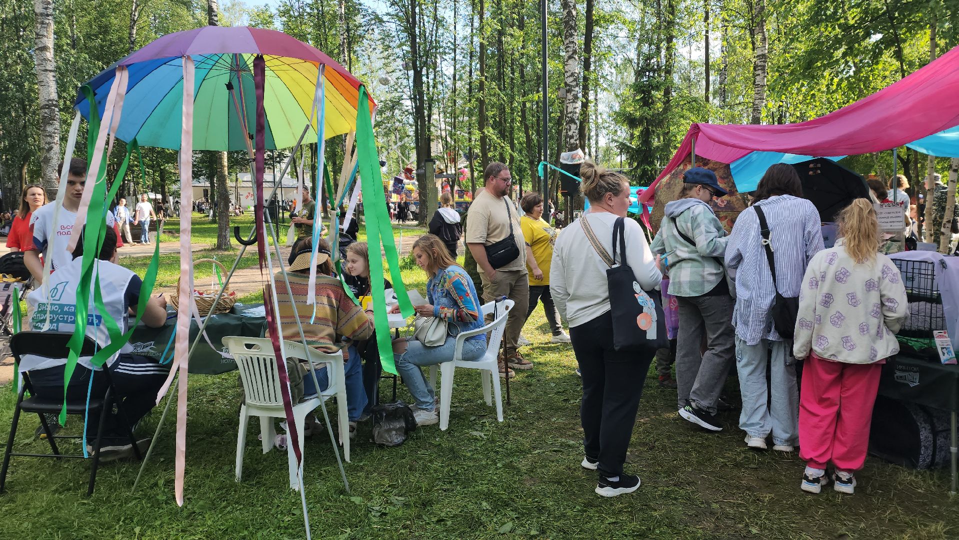 пушкино, пристройство, бездомные животные, кошки, собаки, центральный парк, приют для собак, волонтерская деятельность,