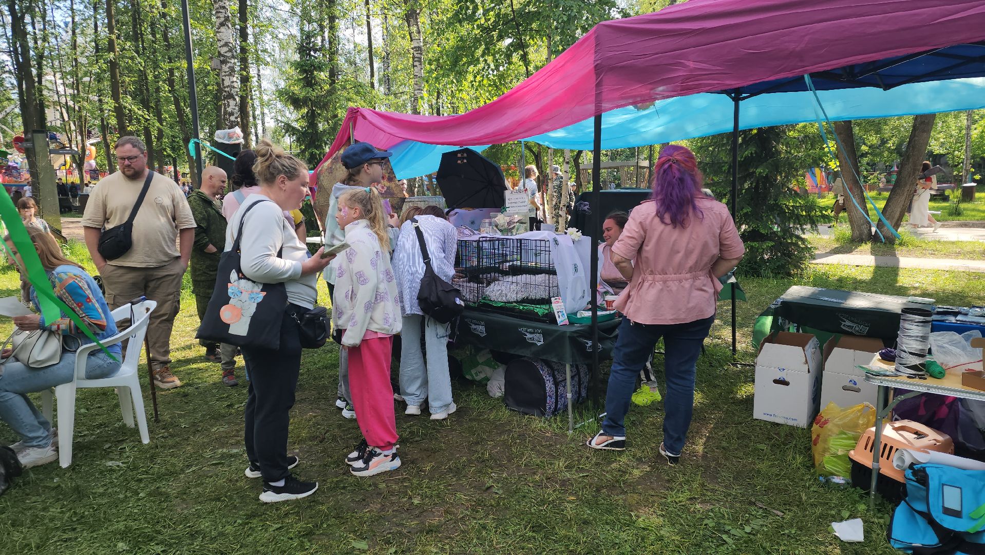 пушкино, пристройство, бездомные животные, кошки, собаки, центральный парк, приют для собак, волонтерская деятельность,