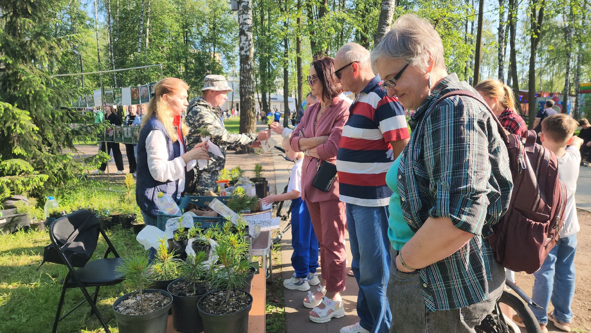 пушкино, пристройство, бездомные животные, кошки, собаки, центральный парк, приют для собак, волонтерская деятельность,