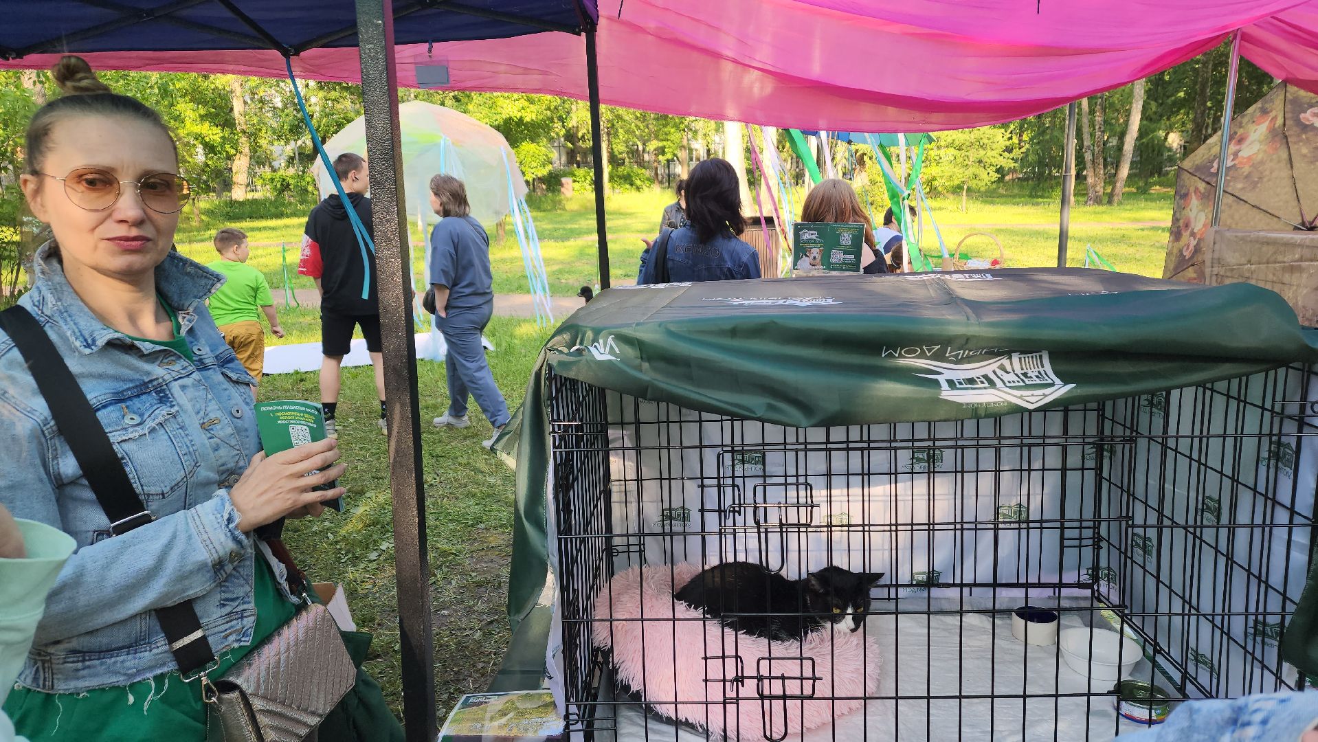 пушкино, пристройство, бездомные животные, кошки, собаки, центральный парк, приют для собак, волонтерская деятельность,