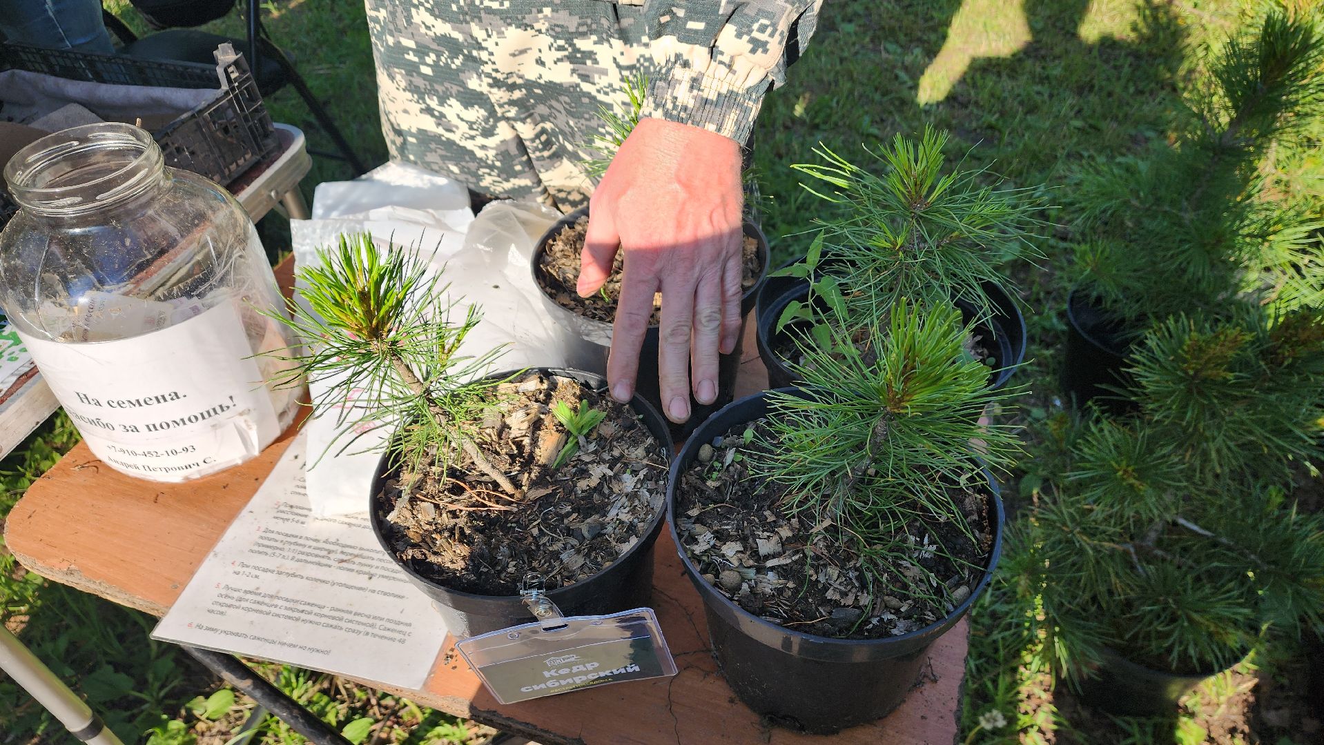 пушкино, пристройство, бездомные животные, кошки, собаки, центральный парк, приют для собак, волонтерская деятельность,