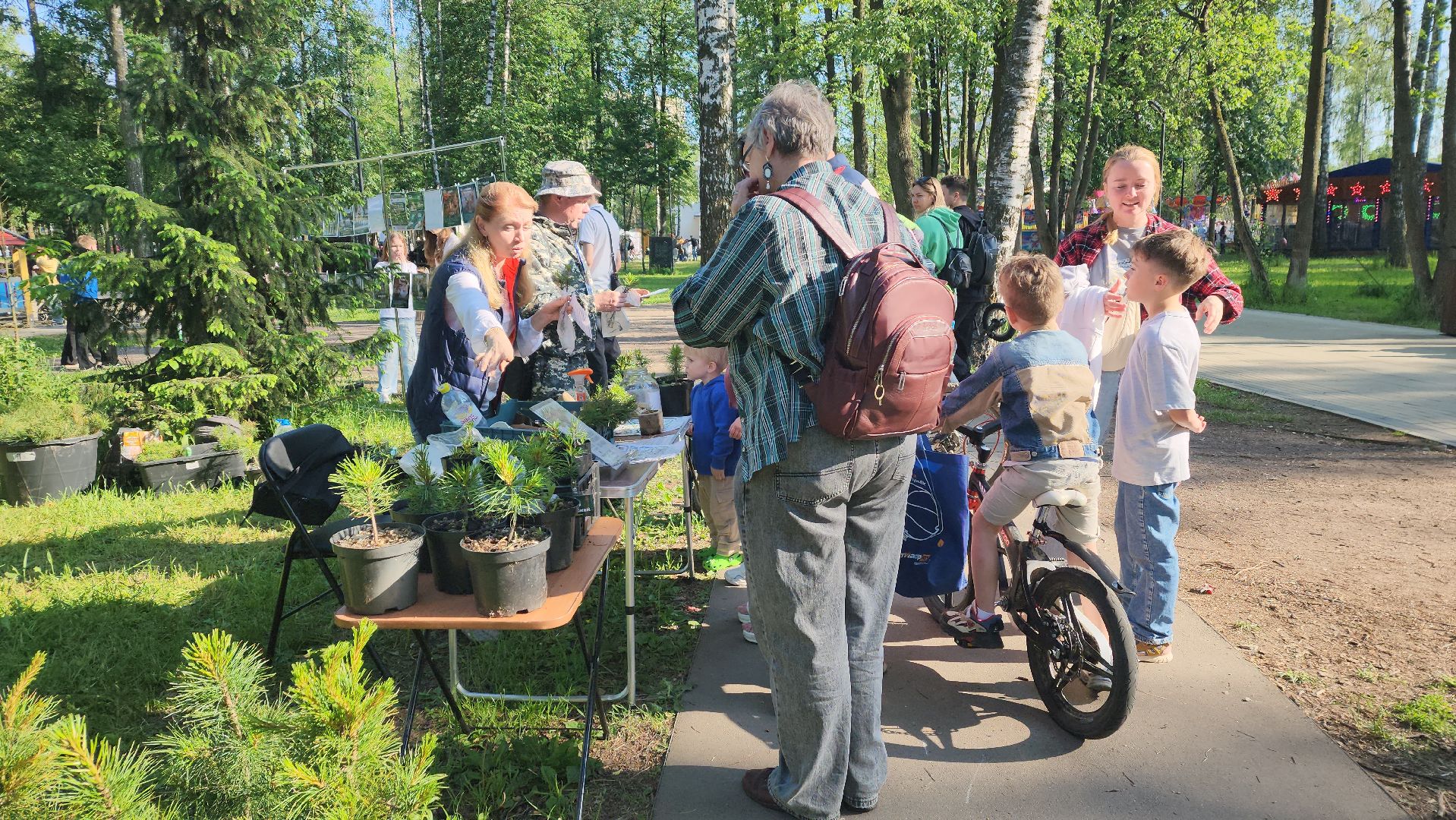 пушкино, пристройство, бездомные животные, кошки, собаки, центральный парк, приют для собак, волонтерская деятельность,