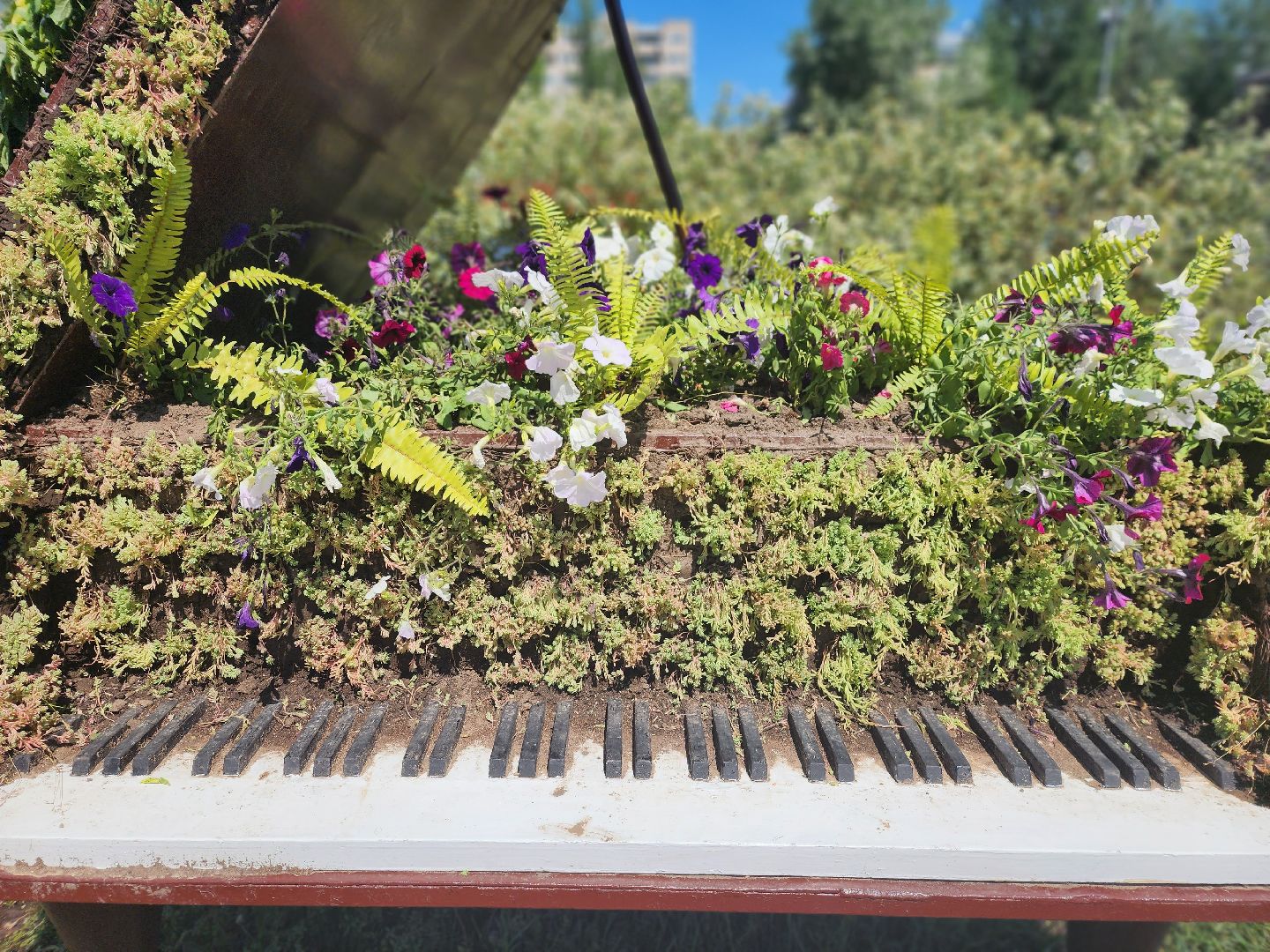 королёв, благоустройство в королеве, необычные фигуры,