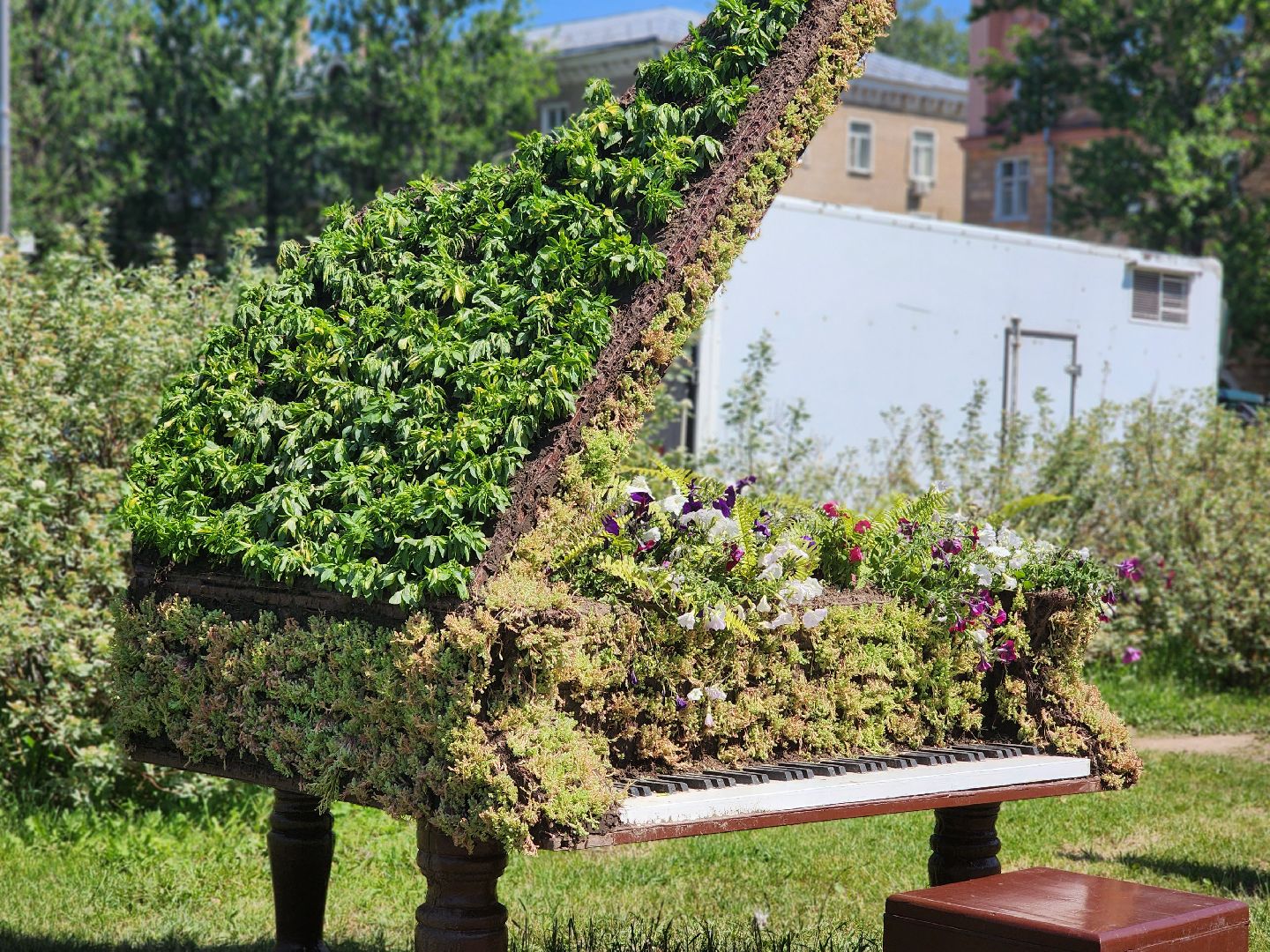 королёв, благоустройство в королеве, необычные фигуры,