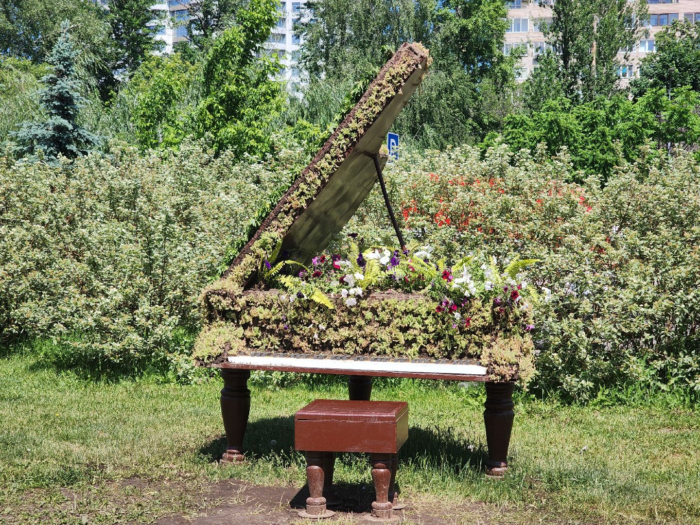 королёв, благоустройство в королеве, необычные фигуры,