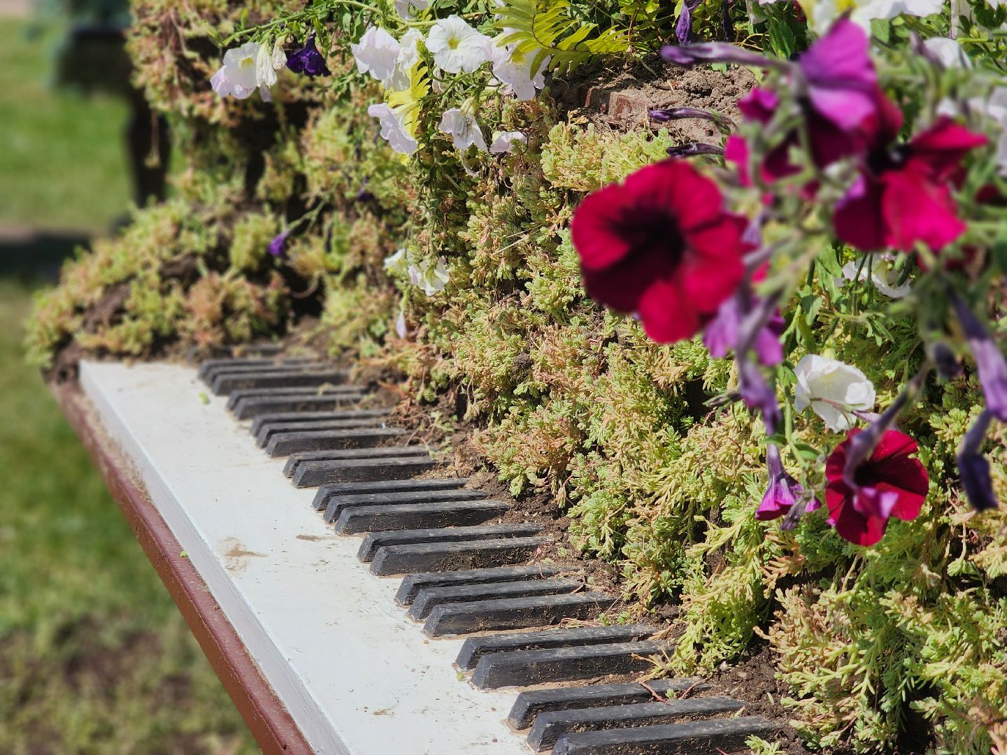 королёв, благоустройство в королеве, необычные фигуры,