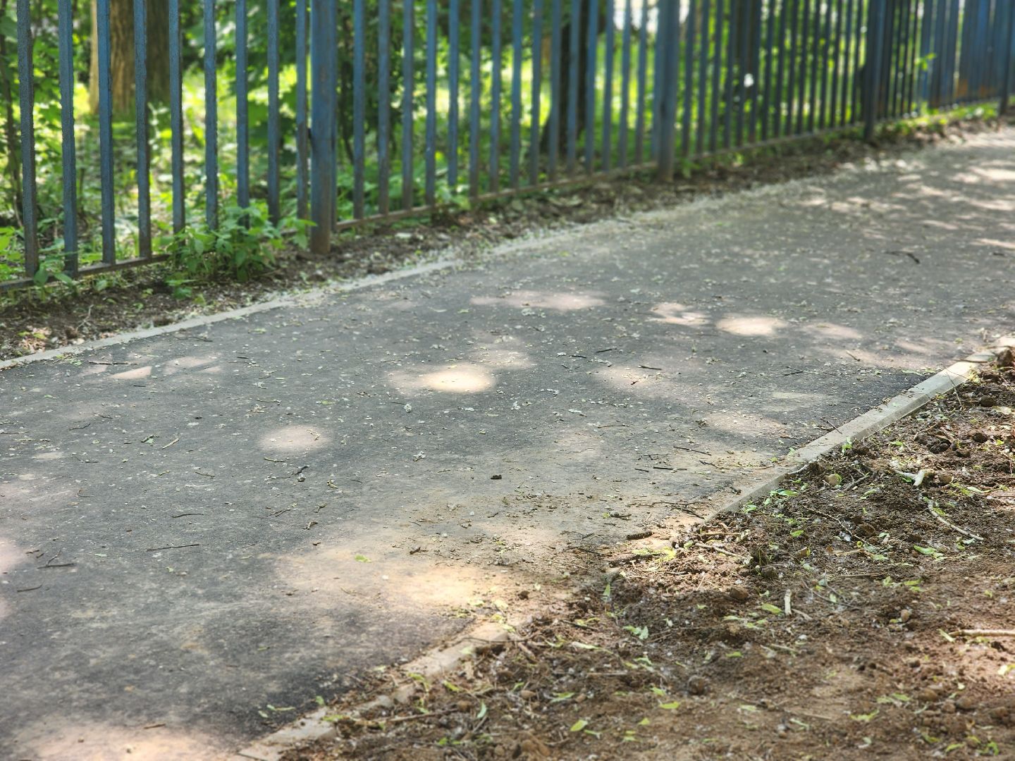 королёв, благоустройство, народные тропы, губернатор московской области,