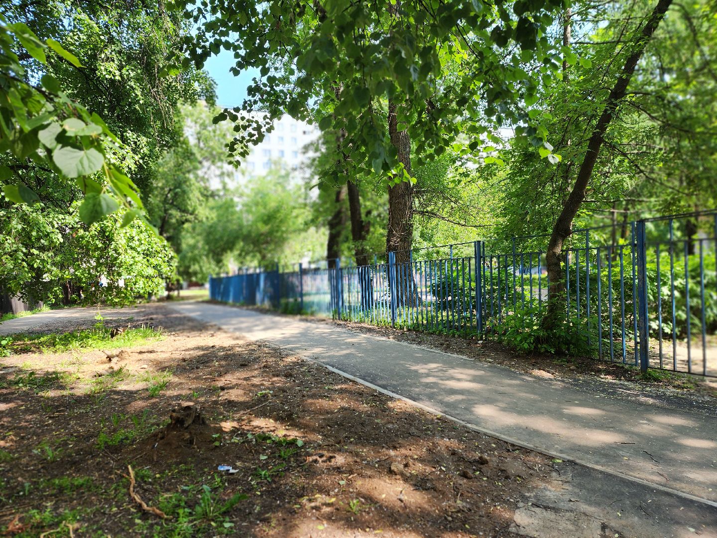 королёв, благоустройство, народные тропы, губернатор московской области,