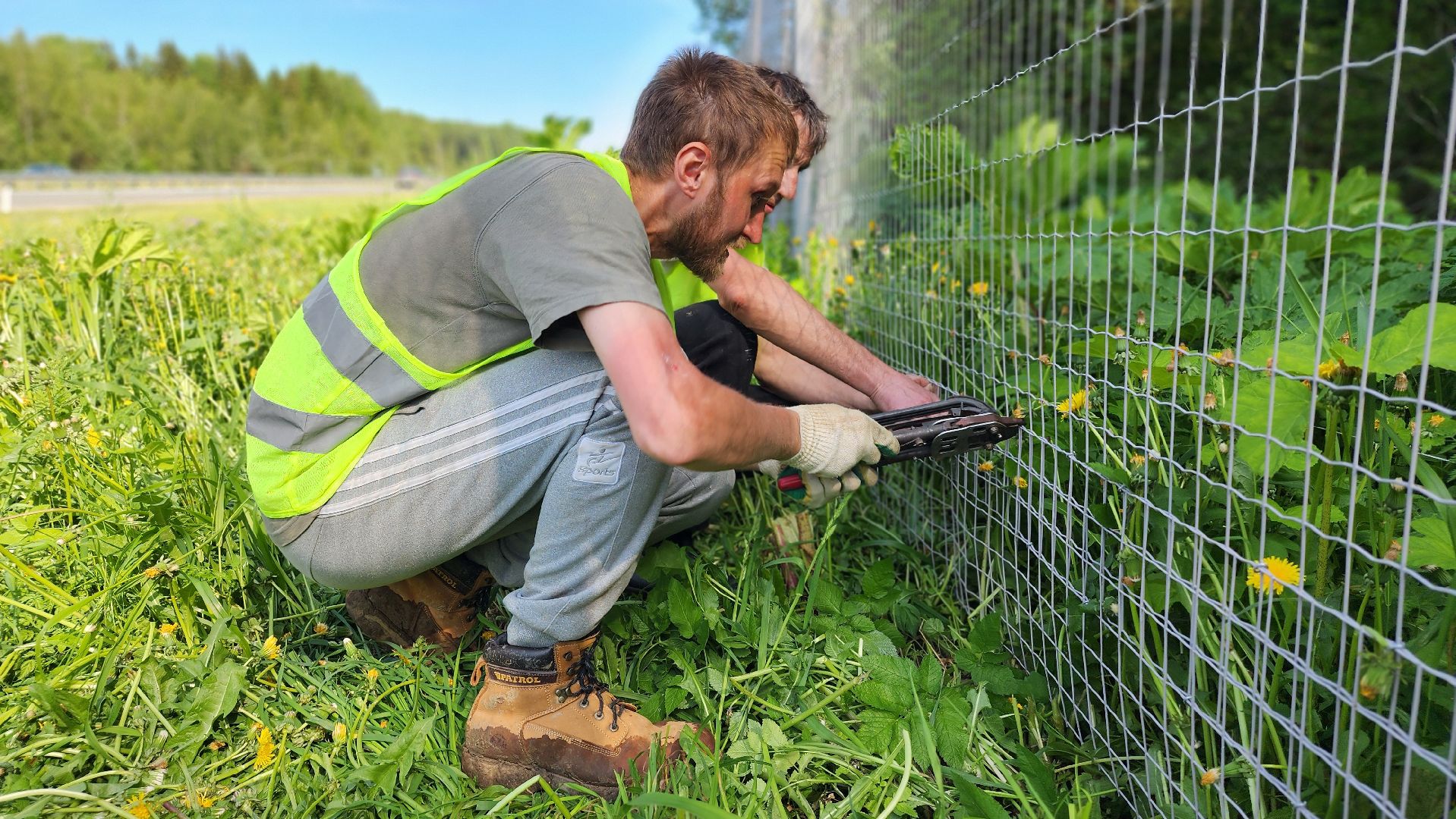 волоколамск, м9 балтия, ограждение от животных ,