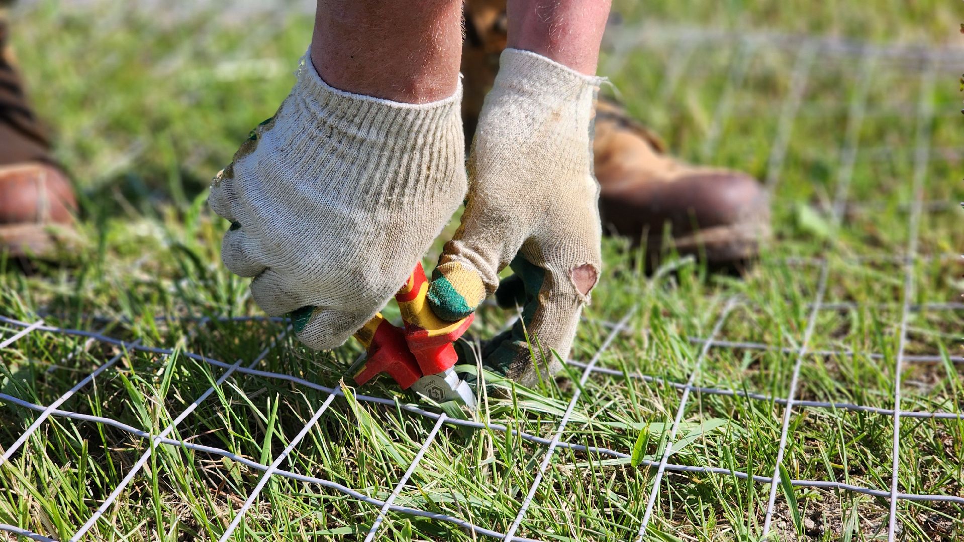 волоколамск, м9 балтия, ограждение от животных ,