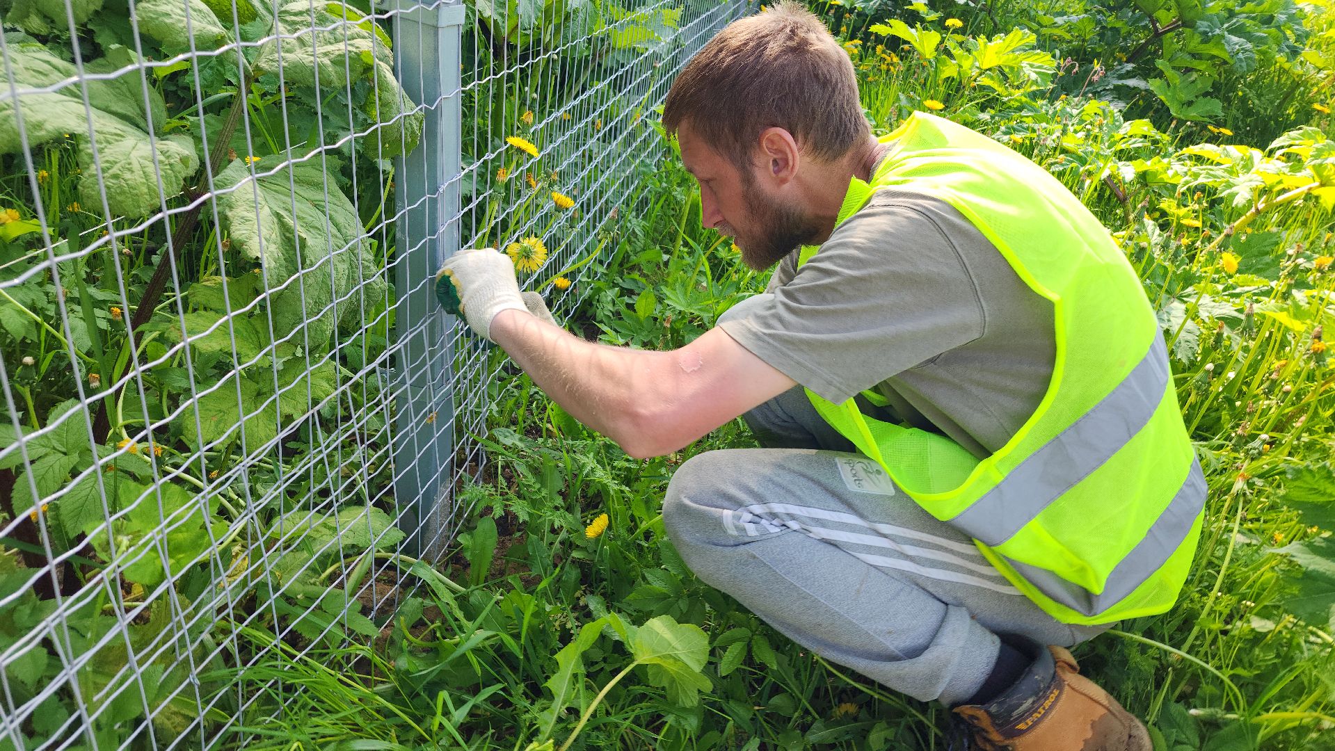 волоколамск, м9 балтия, ограждение от животных ,
