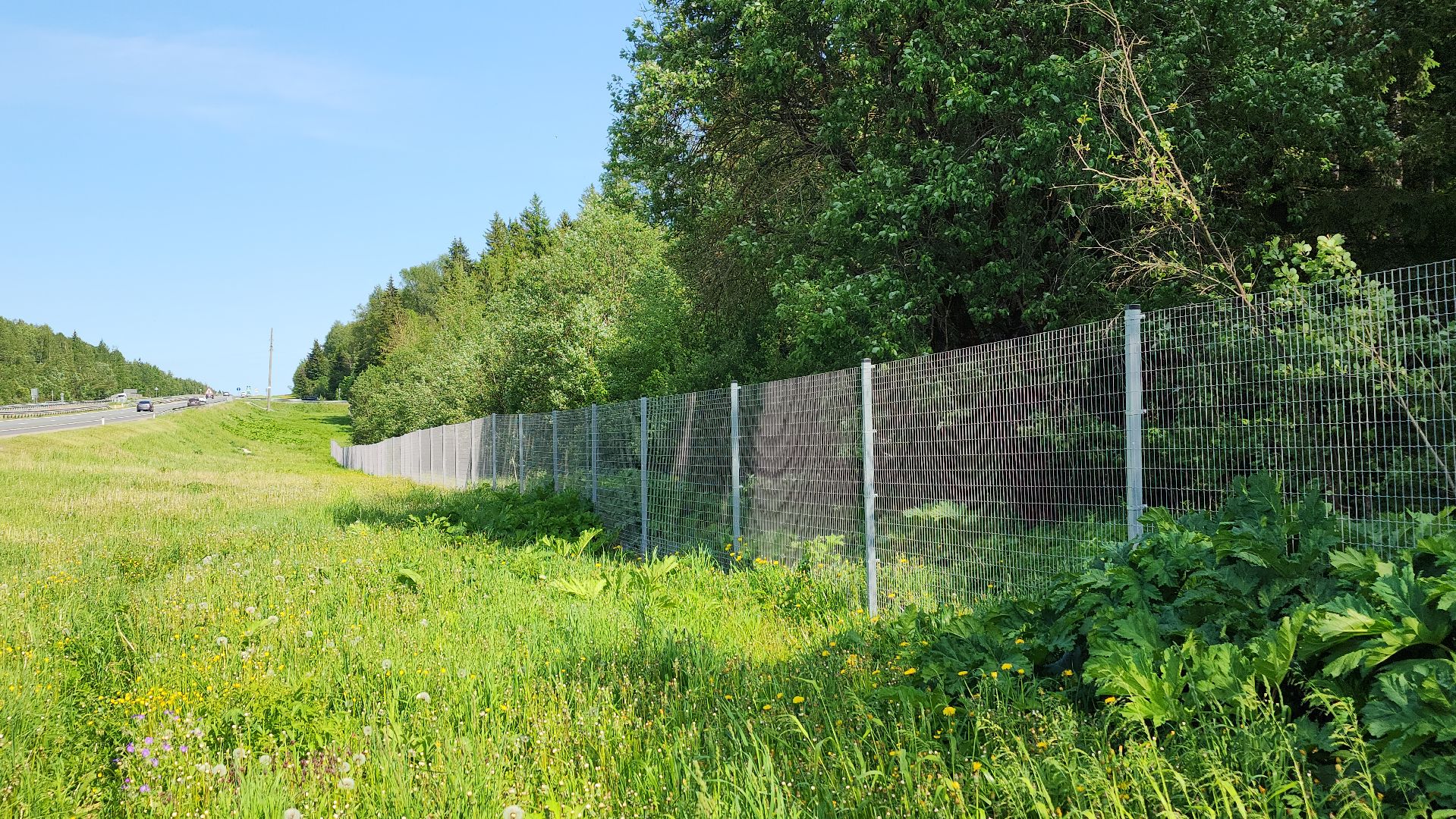 волоколамск, м9 балтия, ограждение от животных ,