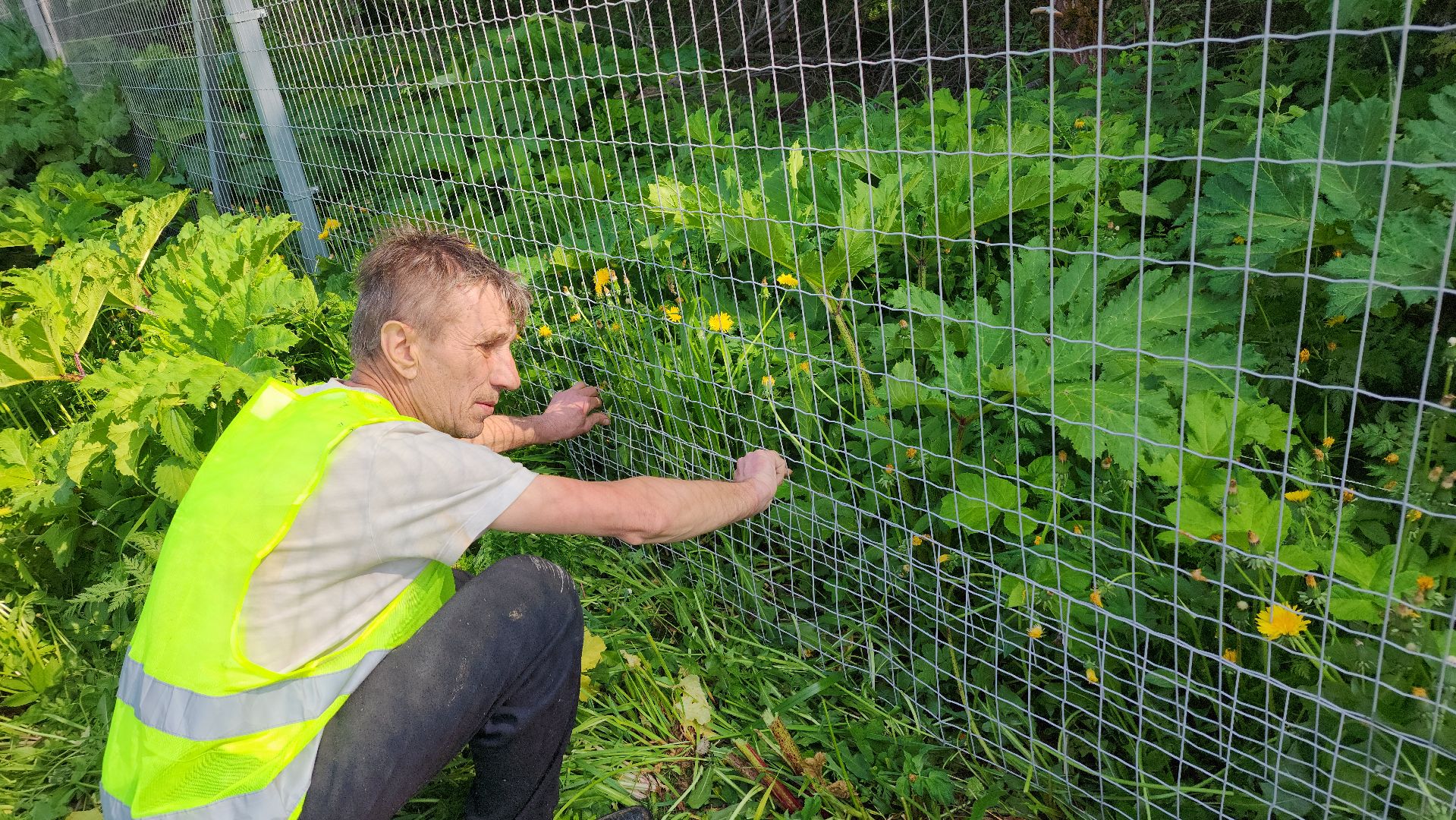 волоколамск, м9 балтия, ограждение от животных ,