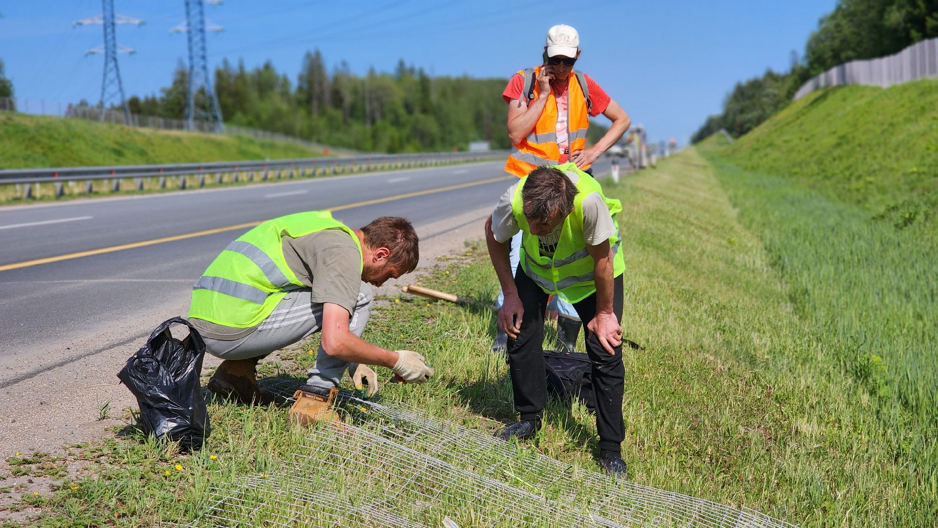 волоколамск, м9 балтия, ограждение от животных ,