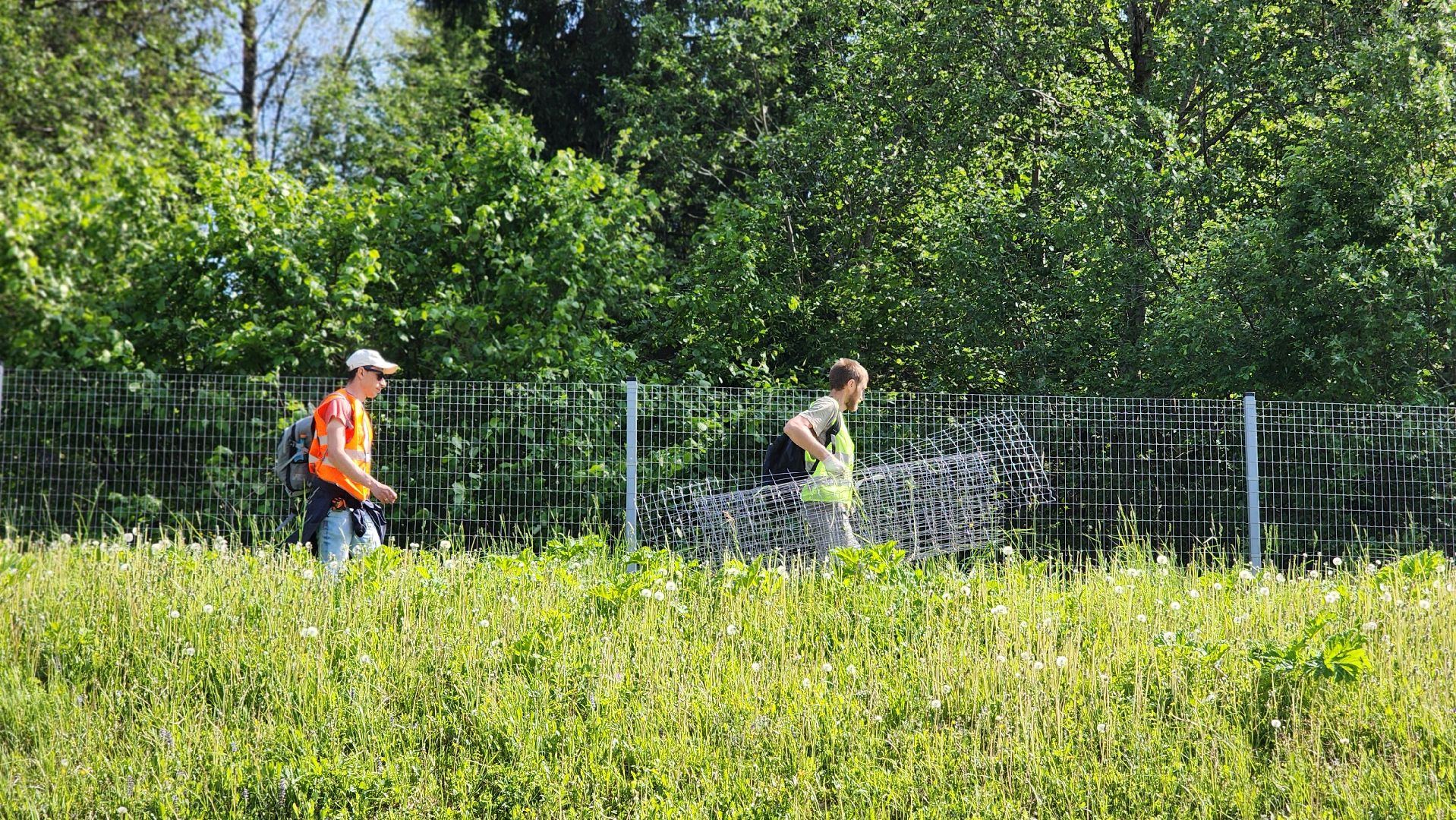 волоколамск, м9 балтия, ограждение от животных ,